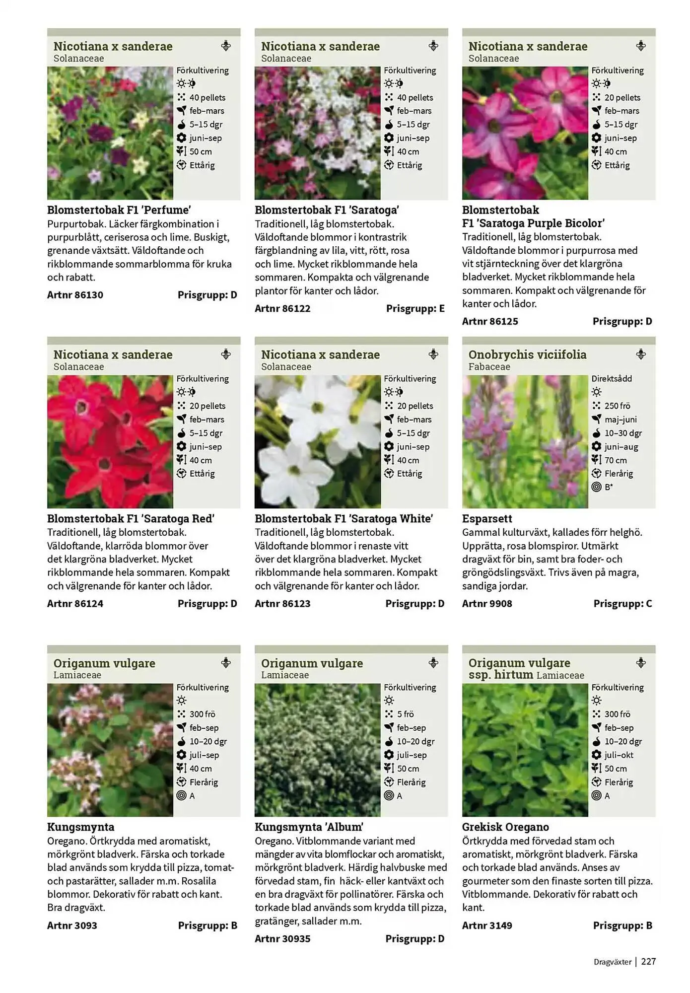 Impecta reklamblad från 23 januari till 31 december 2025 - Reklamblad sidor 227