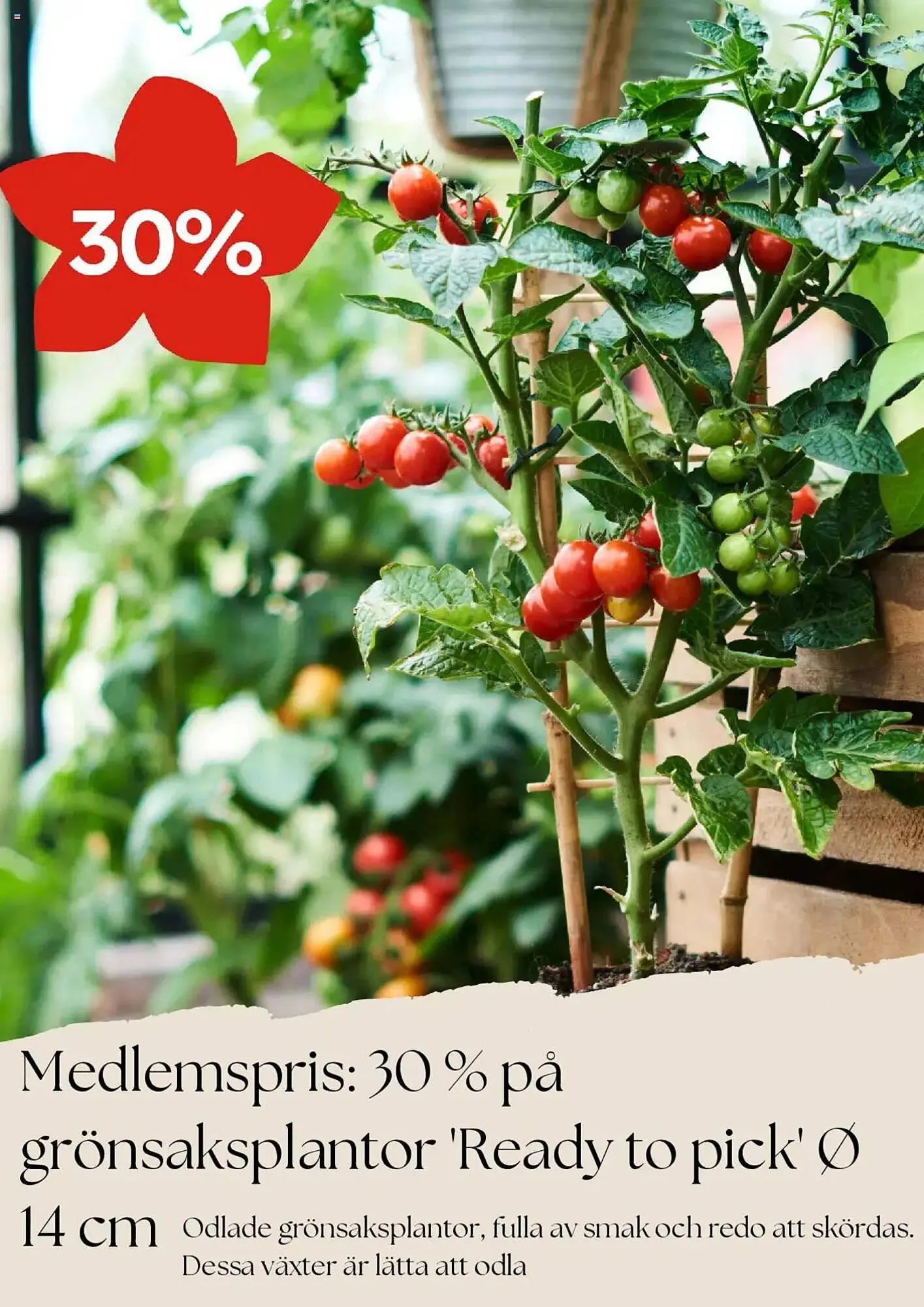 Plantagen reklamblad från 5 maj till 31 maj 2025 - Reklamblad sidor 2