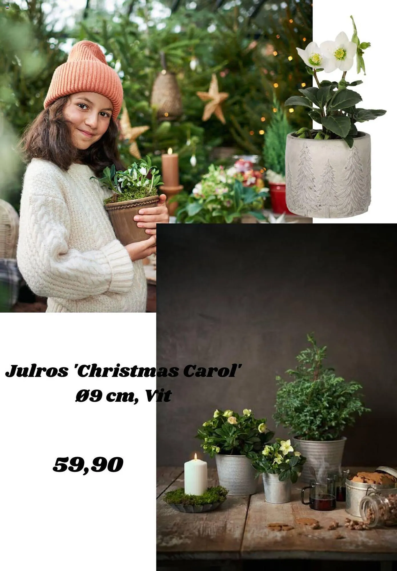Plantagen reklamblad från 30 november till 17 december 2023 - Reklamblad sidor 7