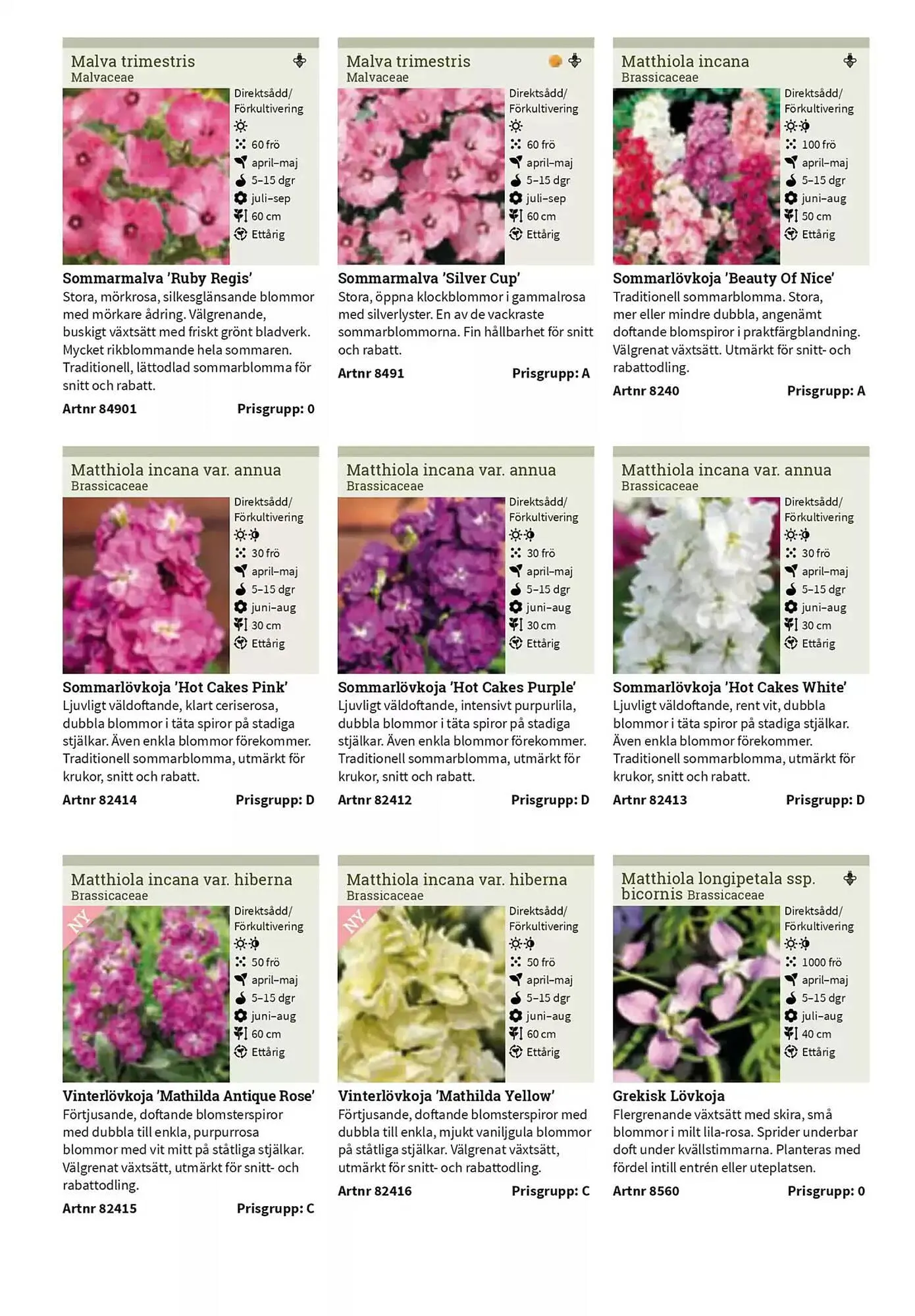 Impecta reklamblad från 23 januari till 31 december 2025 - Reklamblad sidor 163