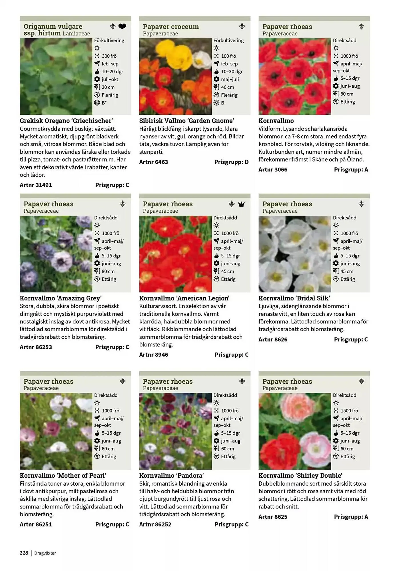 Impecta reklamblad från 23 januari till 31 december 2025 - Reklamblad sidor 228