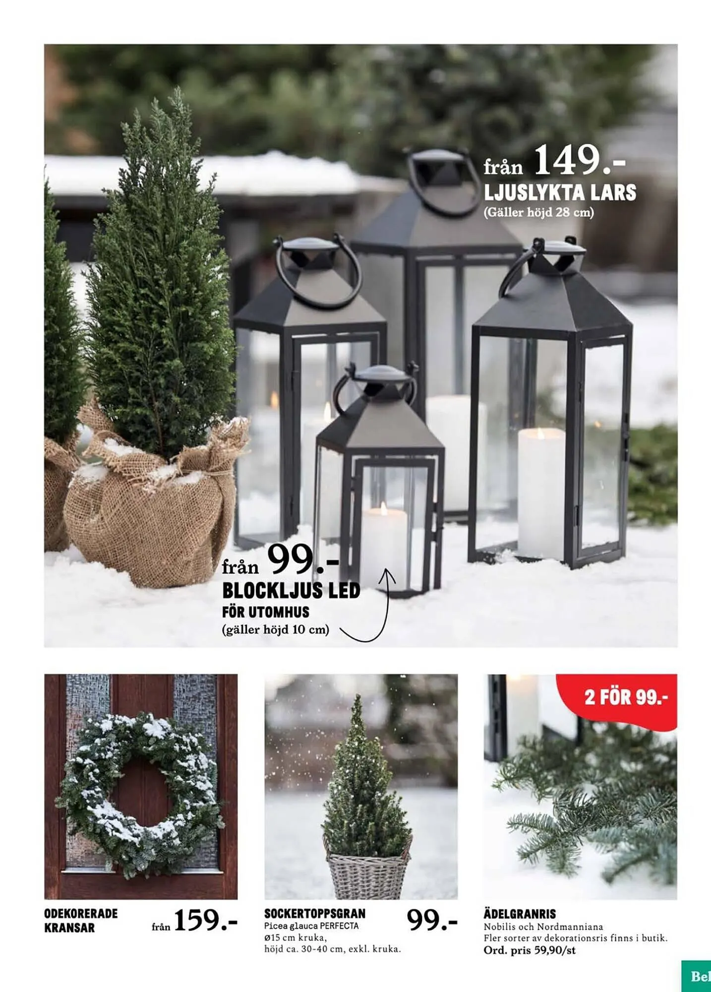Blomsterlandet reklamblad från 20 november till 26 november 2023 - Reklamblad sidor 5