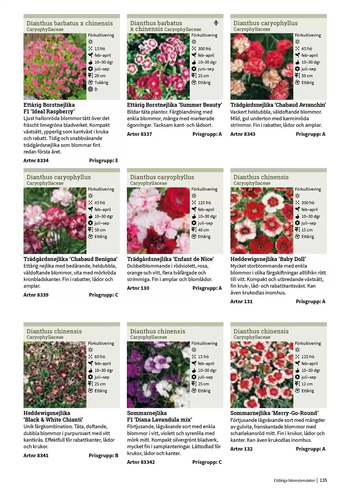 Impecta reklamblad från 23 januari till 31 december 2025 - Reklamblad sidor 135