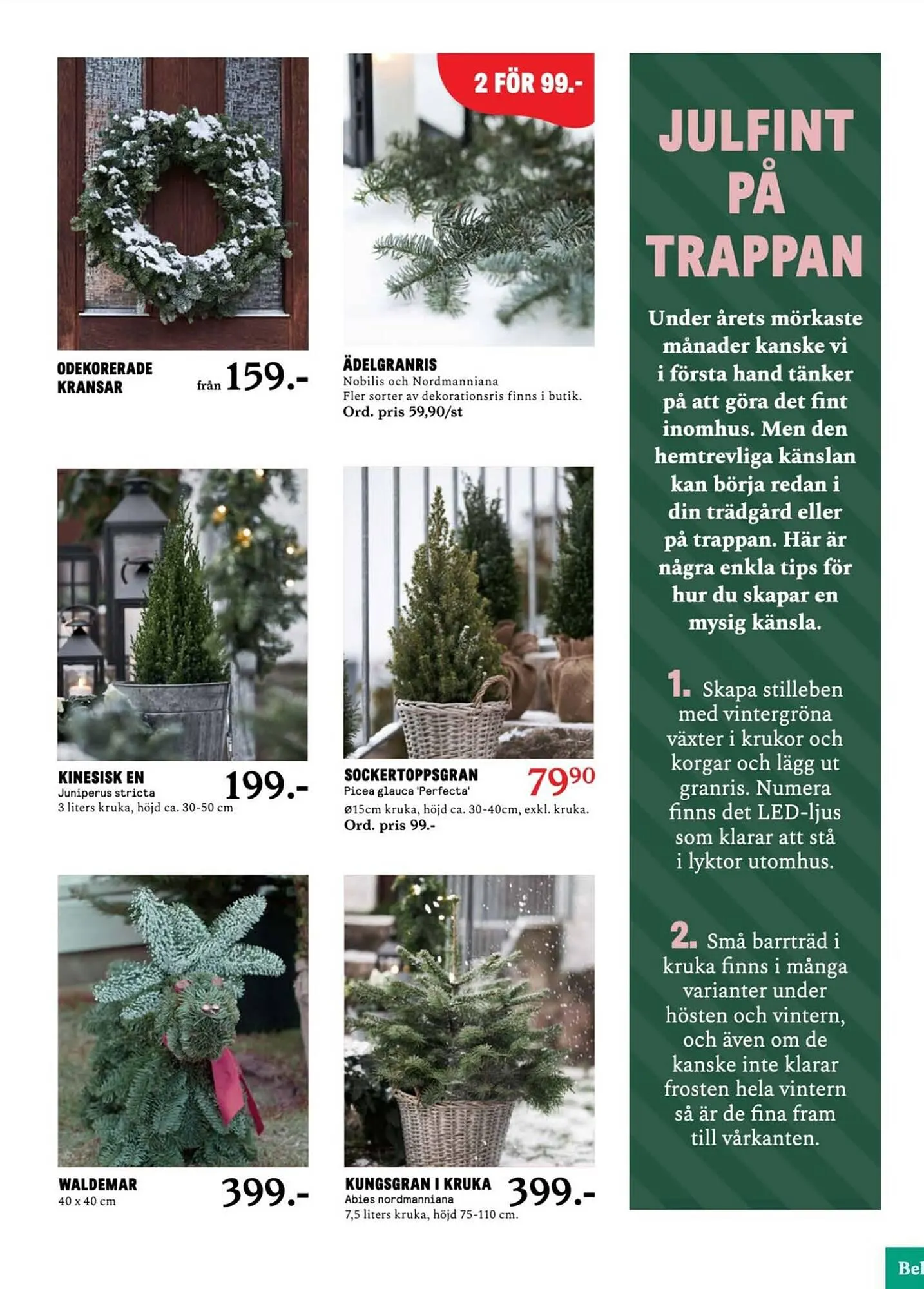 Blomsterlandet reklamblad från 27 november till 3 december 2023 - Reklamblad sidor 5