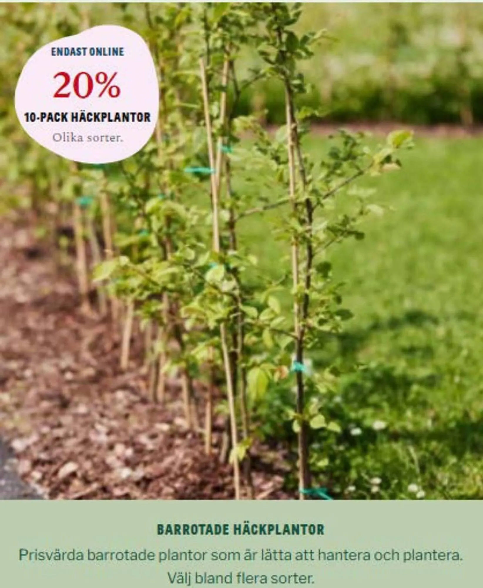 Blomsterlandet reklamblad från 26 april till 31 maj 2025 - Reklamblad sidor 2