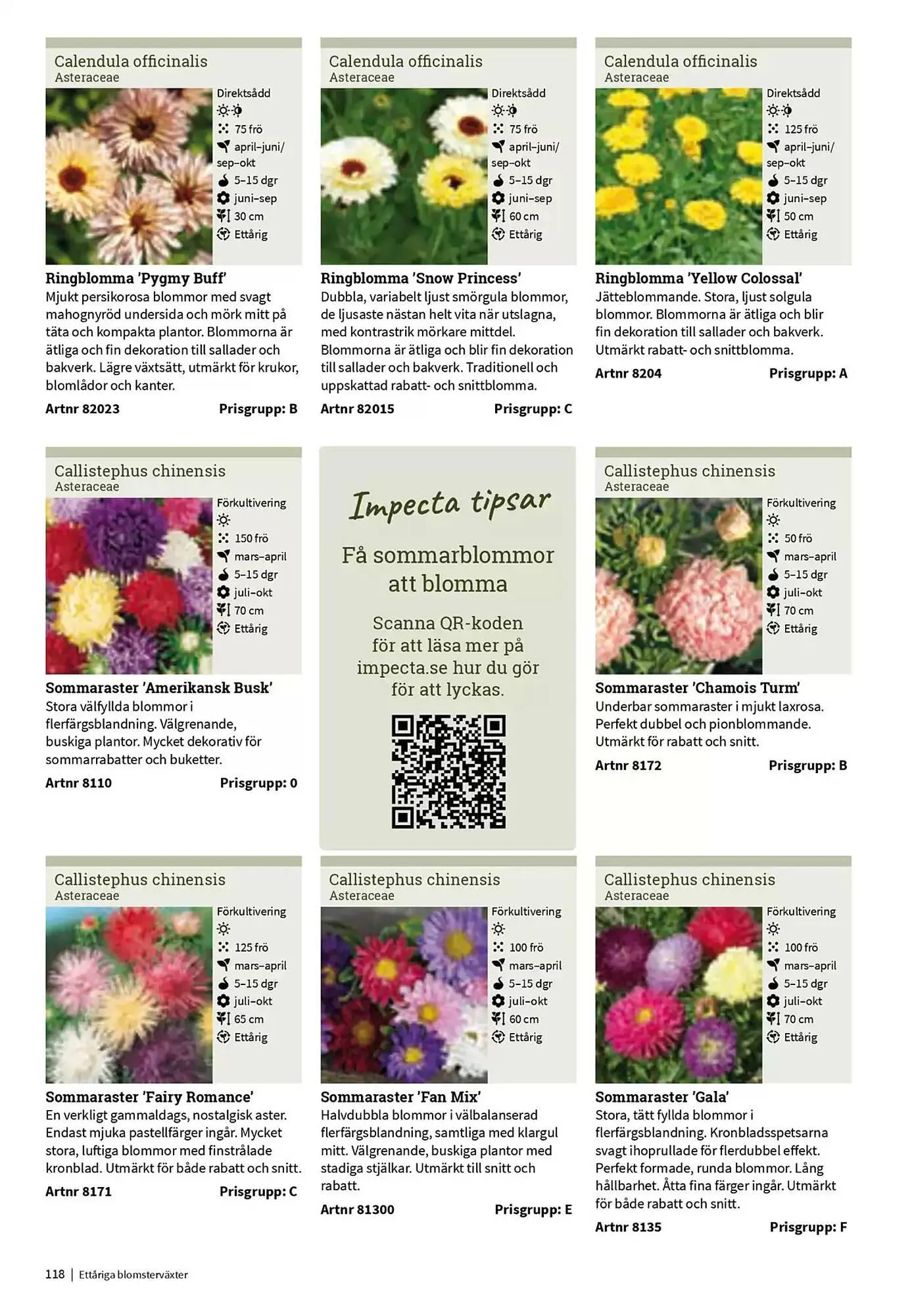 Impecta reklamblad från 23 januari till 31 december 2025 - Reklamblad sidor 118