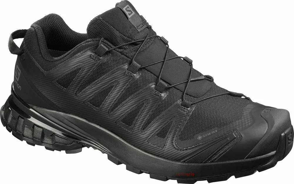 Salomon XA Pro 3D V8 GTX Herr Svart