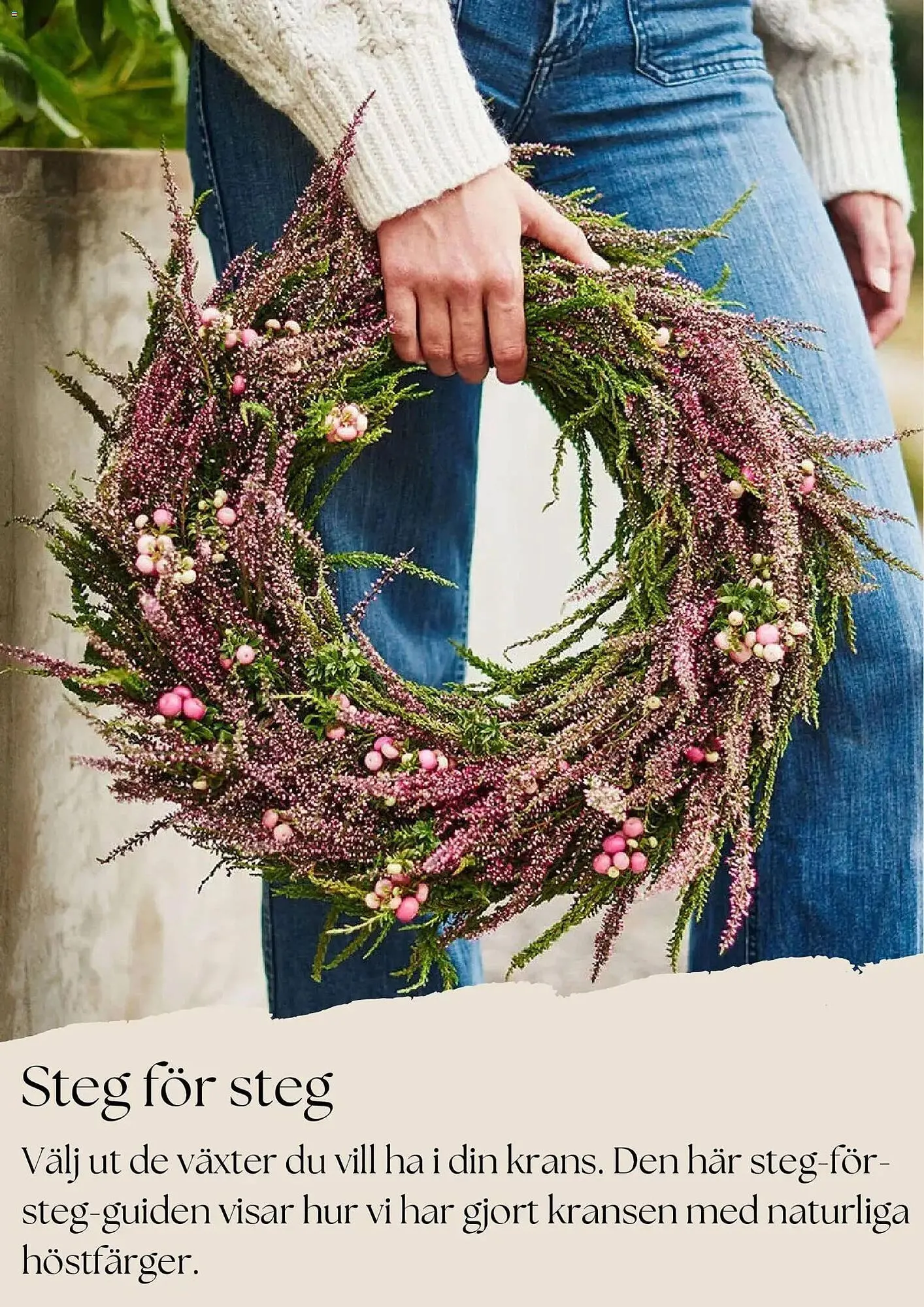 Plantagen annonsblad från 27 oktober till 26 november 2025 - Reklamblad sidor 8