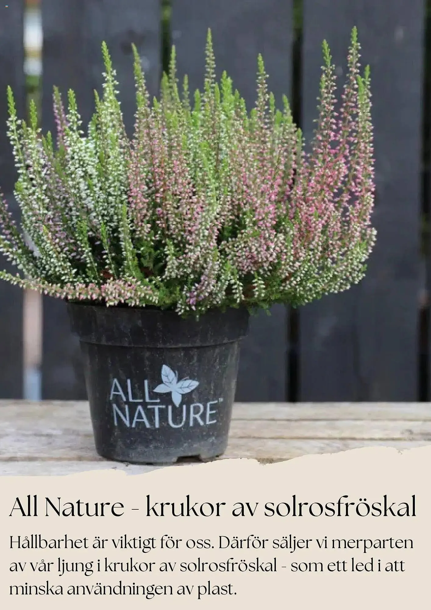 Plantagen annonsblad från 27 oktober till 26 november 2025 - Reklamblad sidor 2