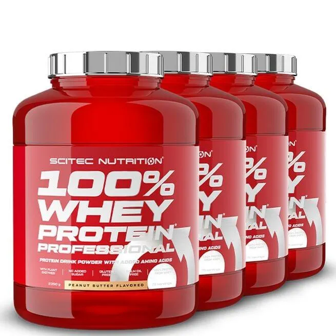 4 x 100% Whey Protein Professional, 2350 g, BIG BUY