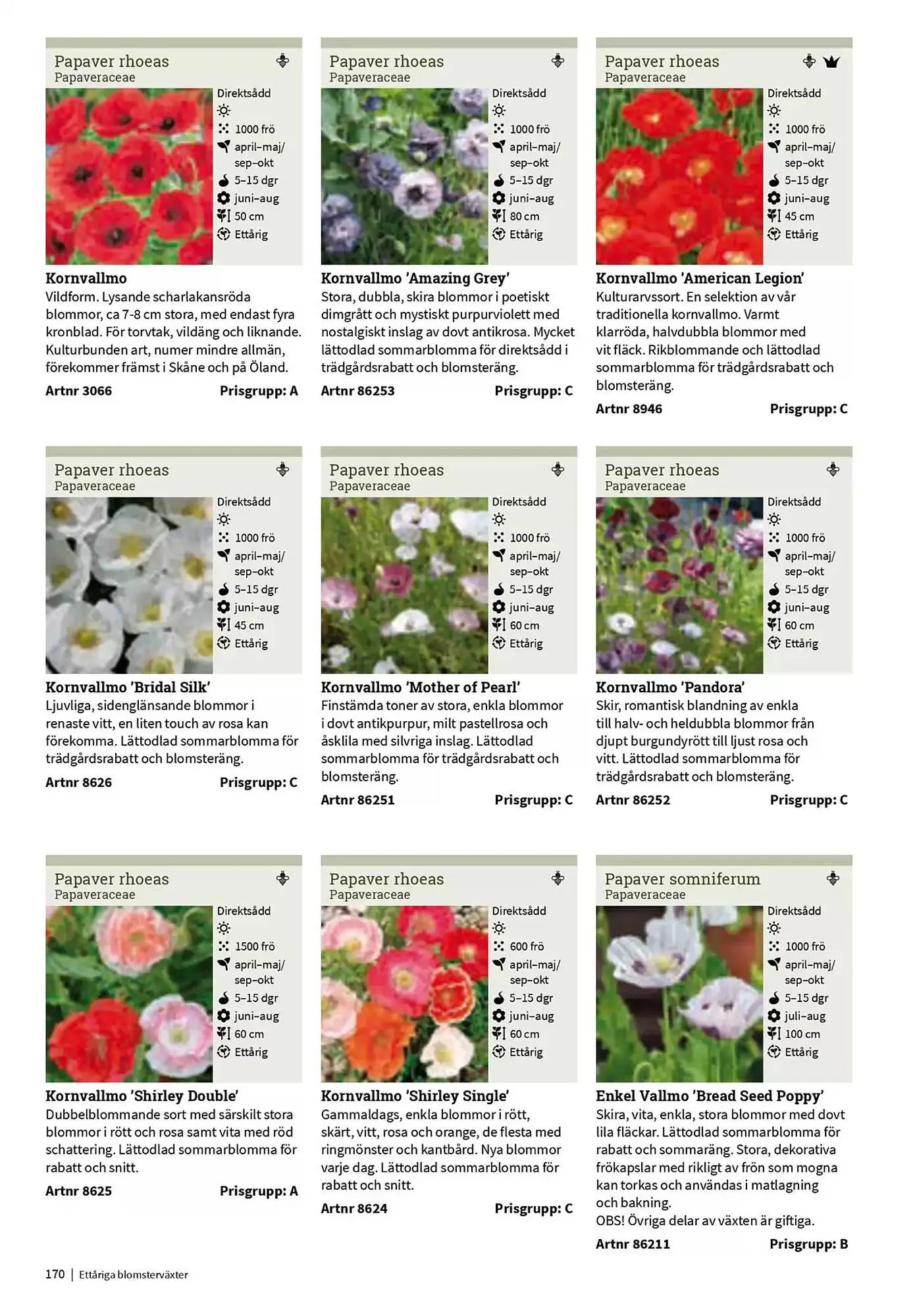 Impecta reklamblad från 23 januari till 31 december 2025 - Reklamblad sidor 170