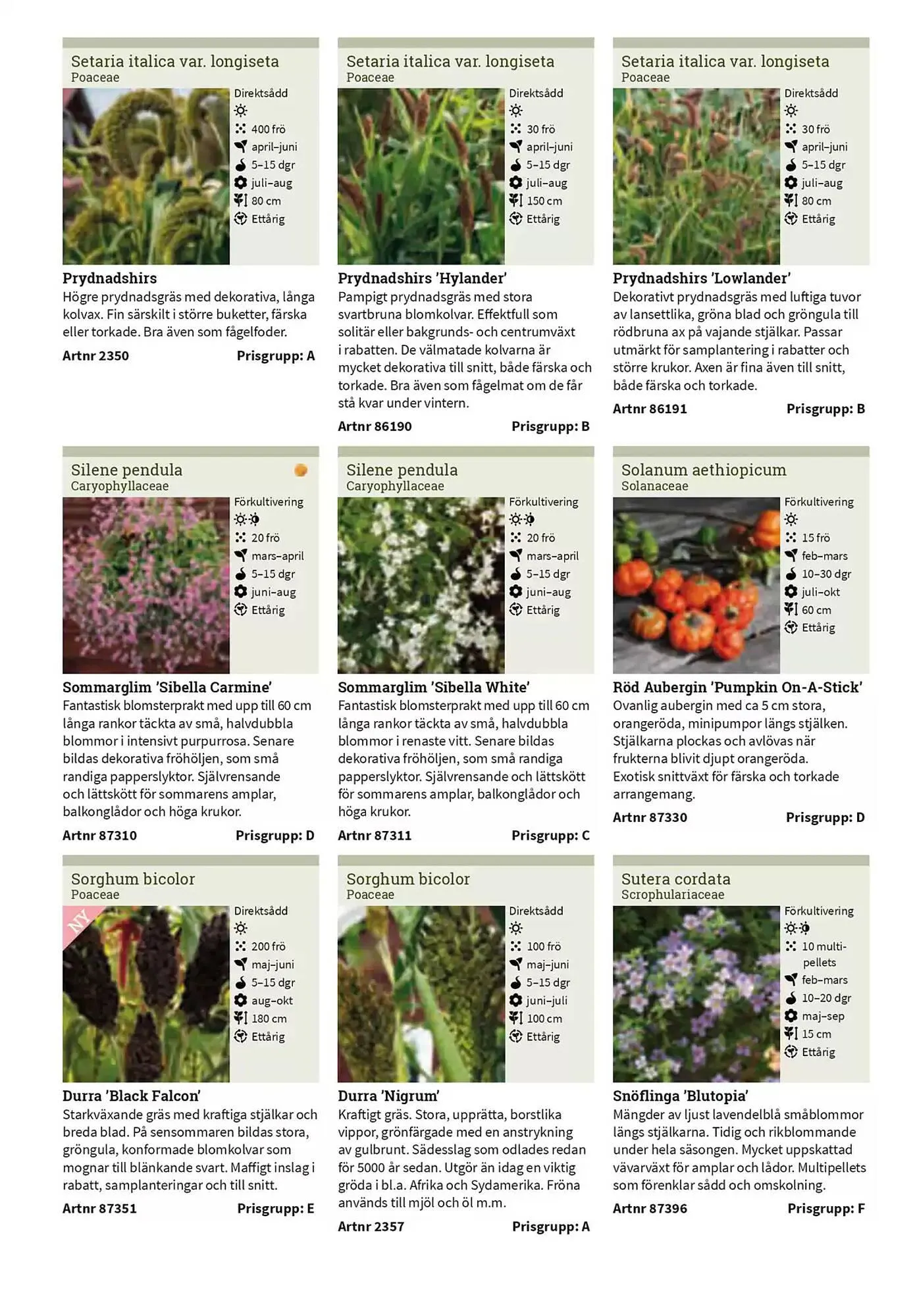 Impecta reklamblad från 23 januari till 31 december 2025 - Reklamblad sidor 187