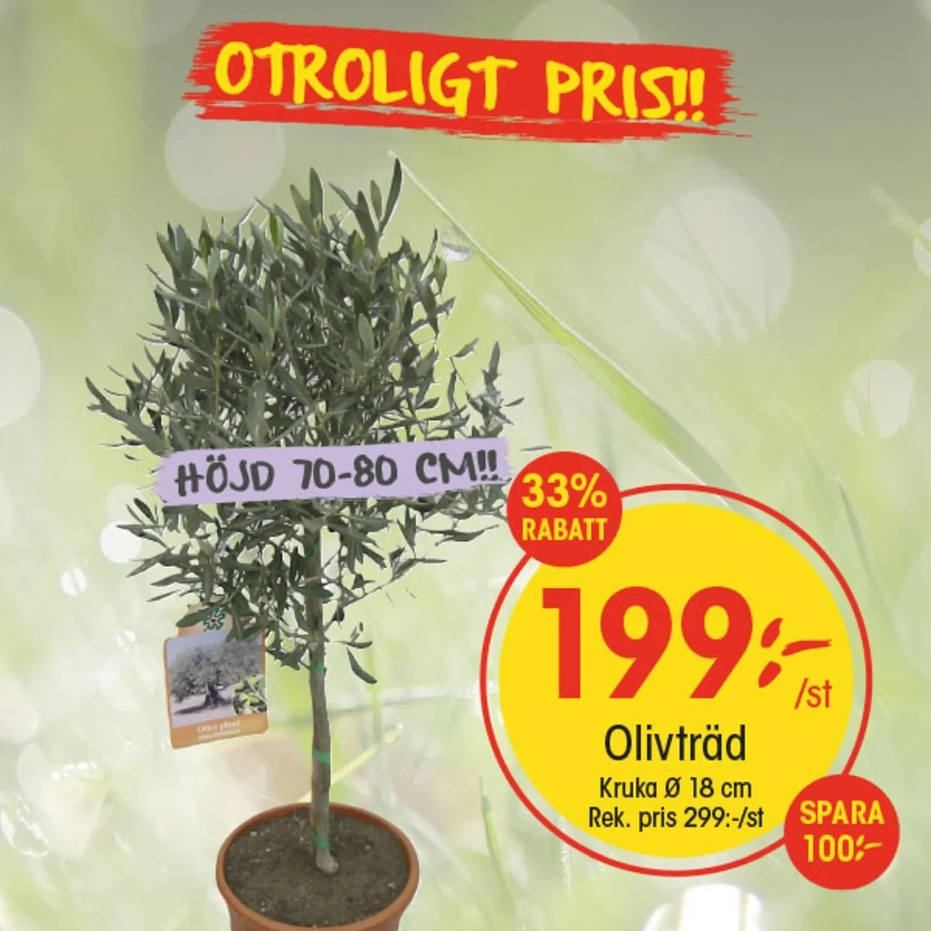 EKO reklamblad från 11 maj till 17 maj 2025 - Reklamblad sidor 2