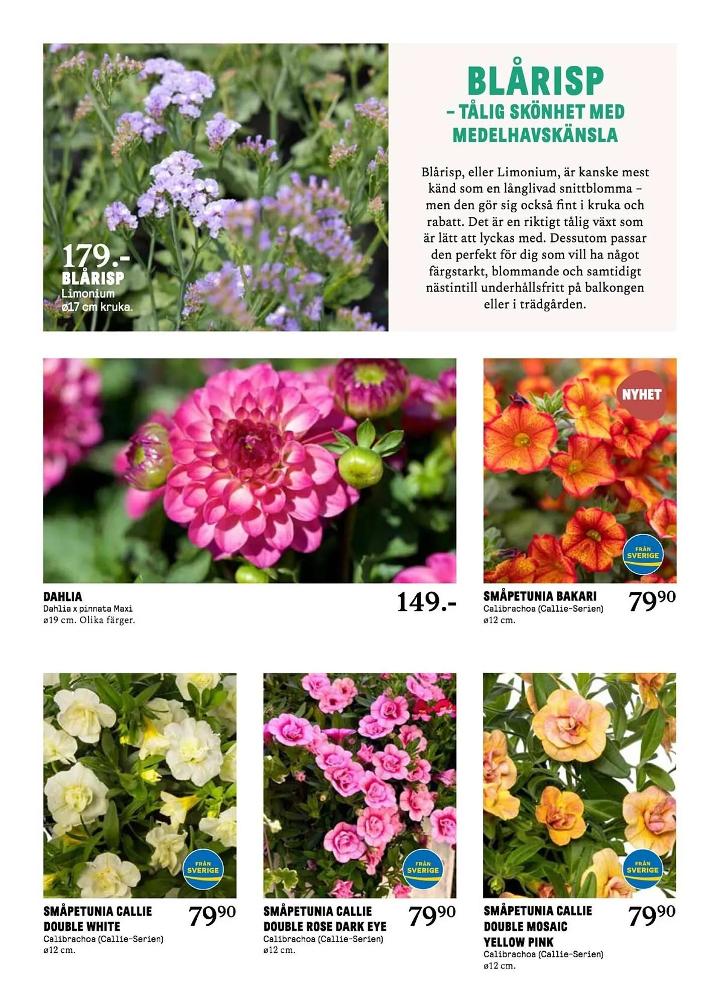 Blomsterlandet reklamblad från 26 maj till 1 juni 2025 - Reklamblad sidor 3