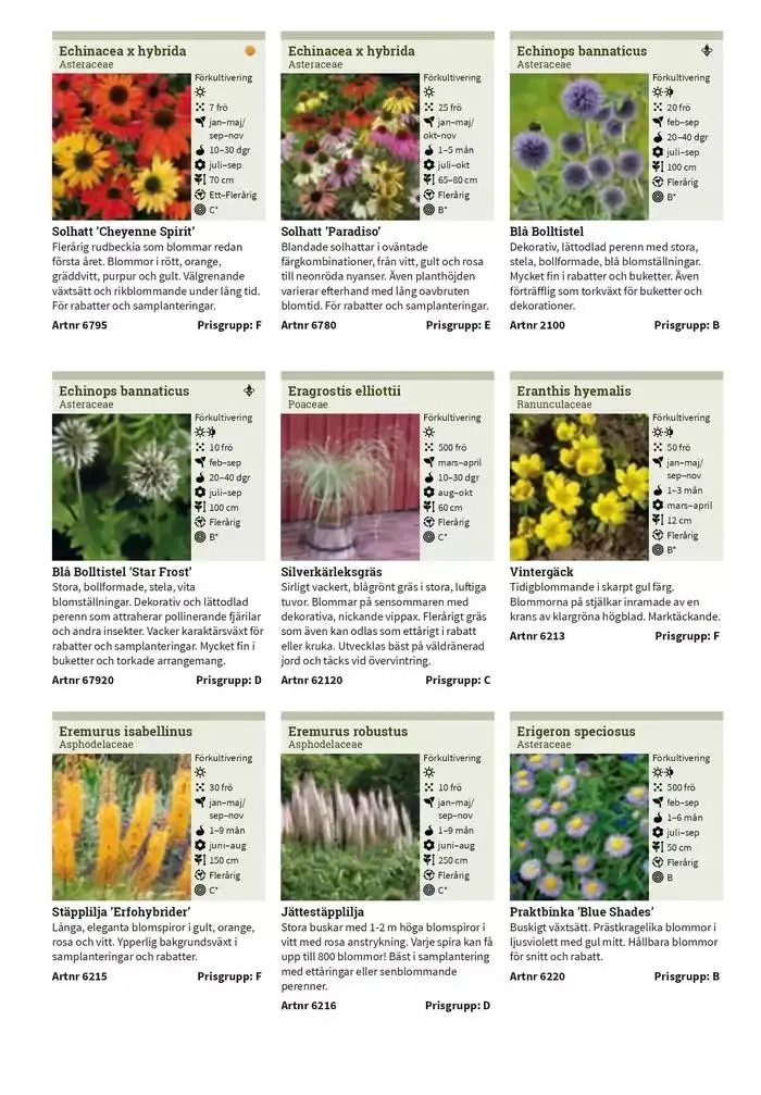 Frökatalog 2025! från 23 januari till 31 december 2025 - Reklamblad sidor 261