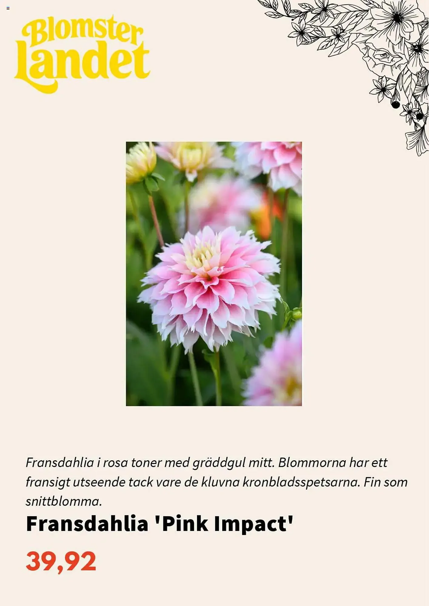 Blomsterlandet reklamblad från 1 mars till 31 mars 2025 - Reklamblad sidor 10