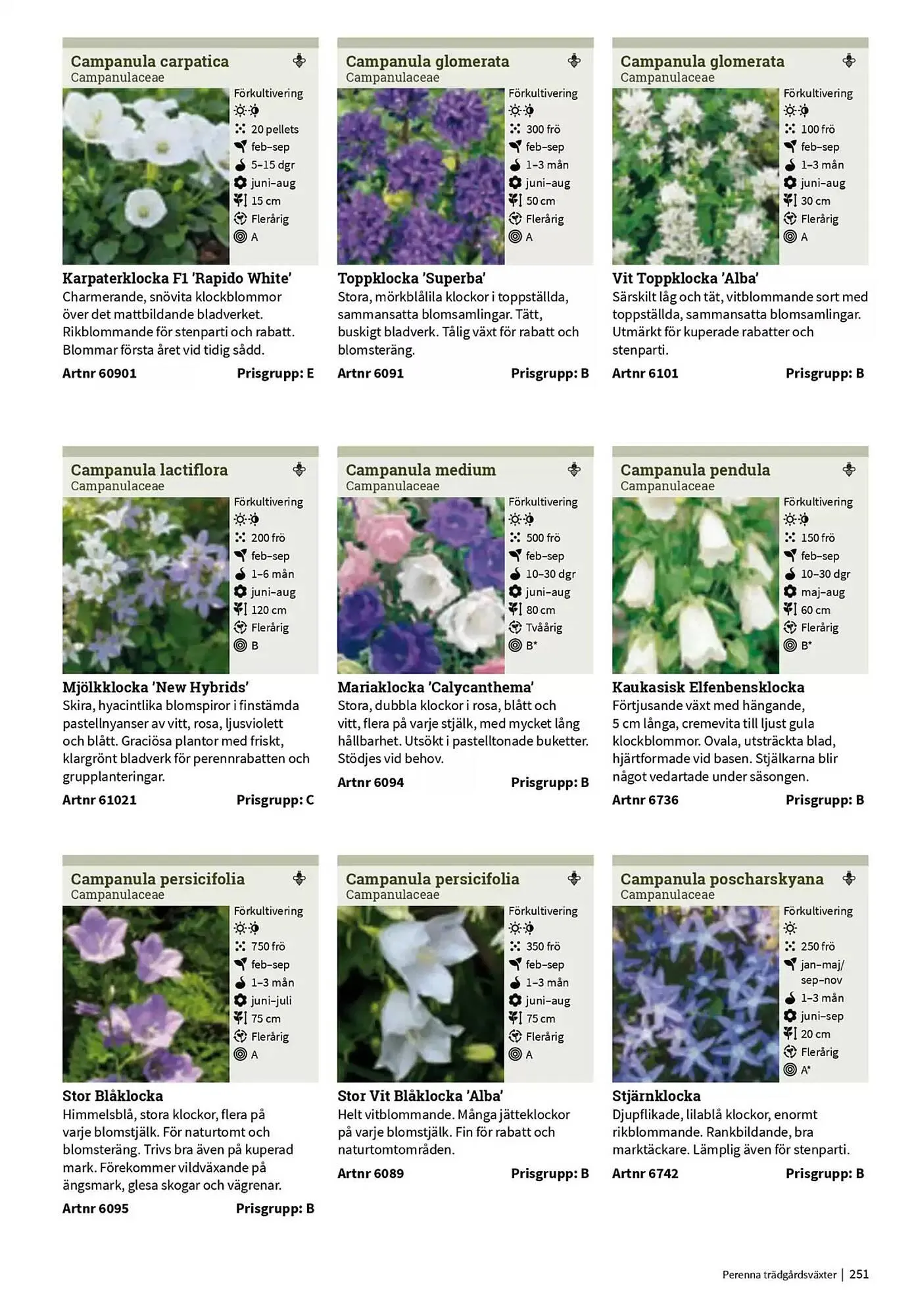 Impecta reklamblad från 23 januari till 31 december 2025 - Reklamblad sidor 251