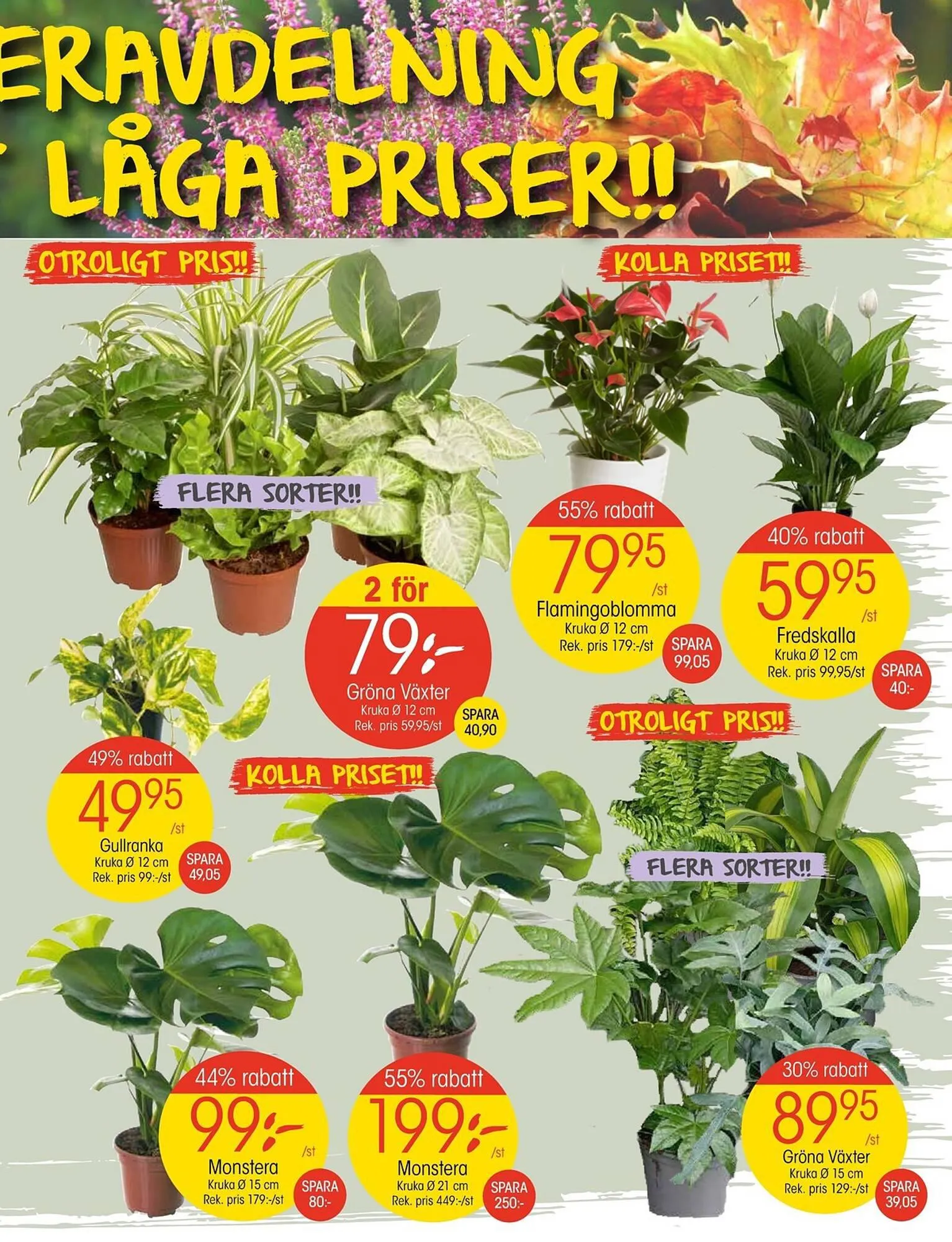 EKO reklamblad från 2 oktober till 8 oktober 2023 - Reklamblad sidor 3
