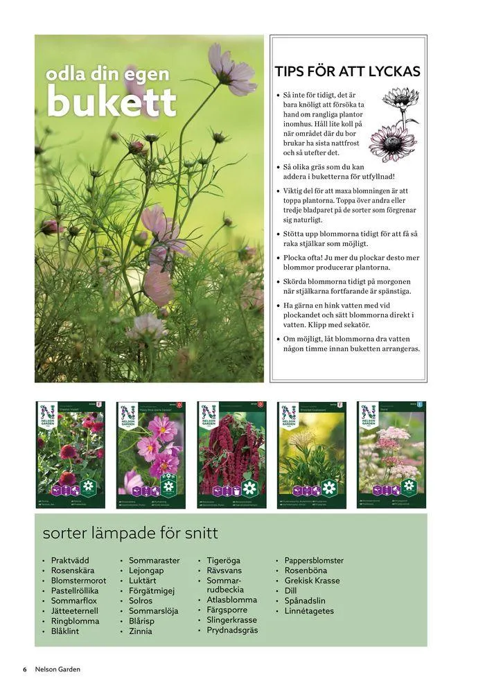 Nelson Gardens frökatalog 2024 är här! från 6 mars till 31 december 2024 - Reklamblad sidor 6