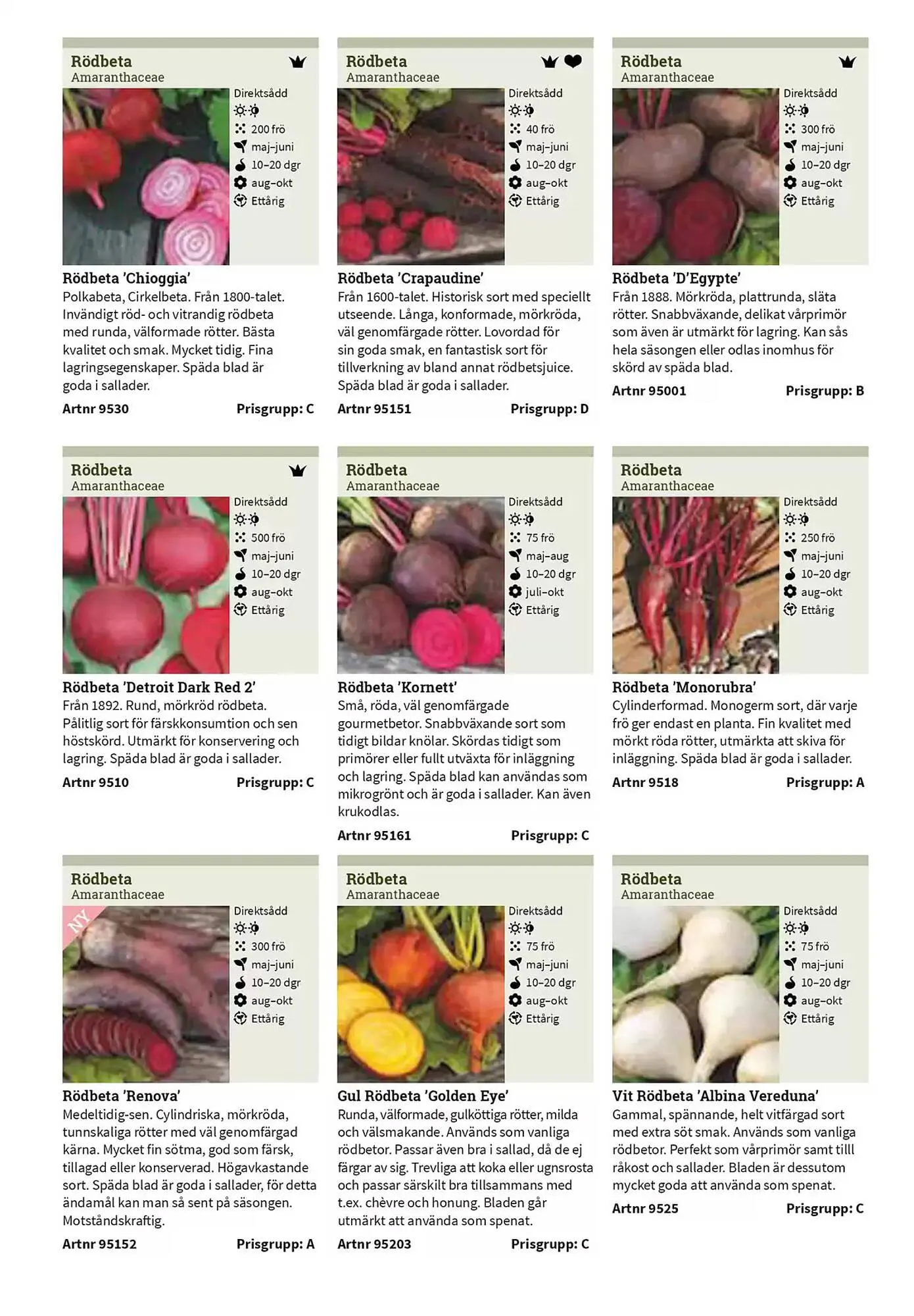 Impecta reklamblad från 23 januari till 31 december 2025 - Reklamblad sidor 49