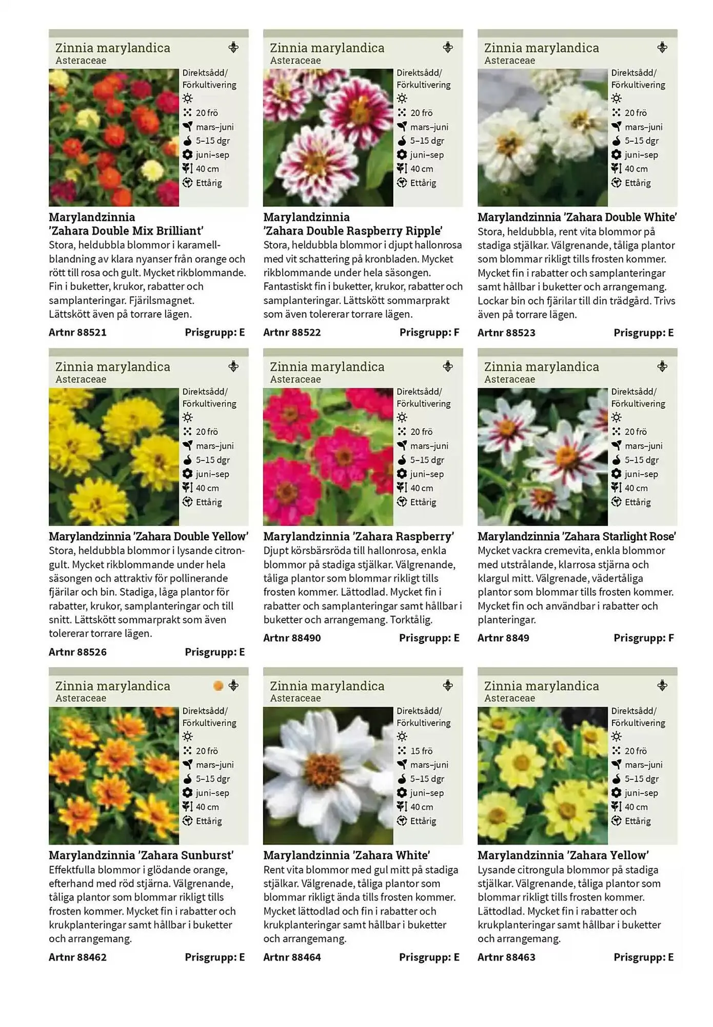 Impecta reklamblad från 23 januari till 31 december 2025 - Reklamblad sidor 201