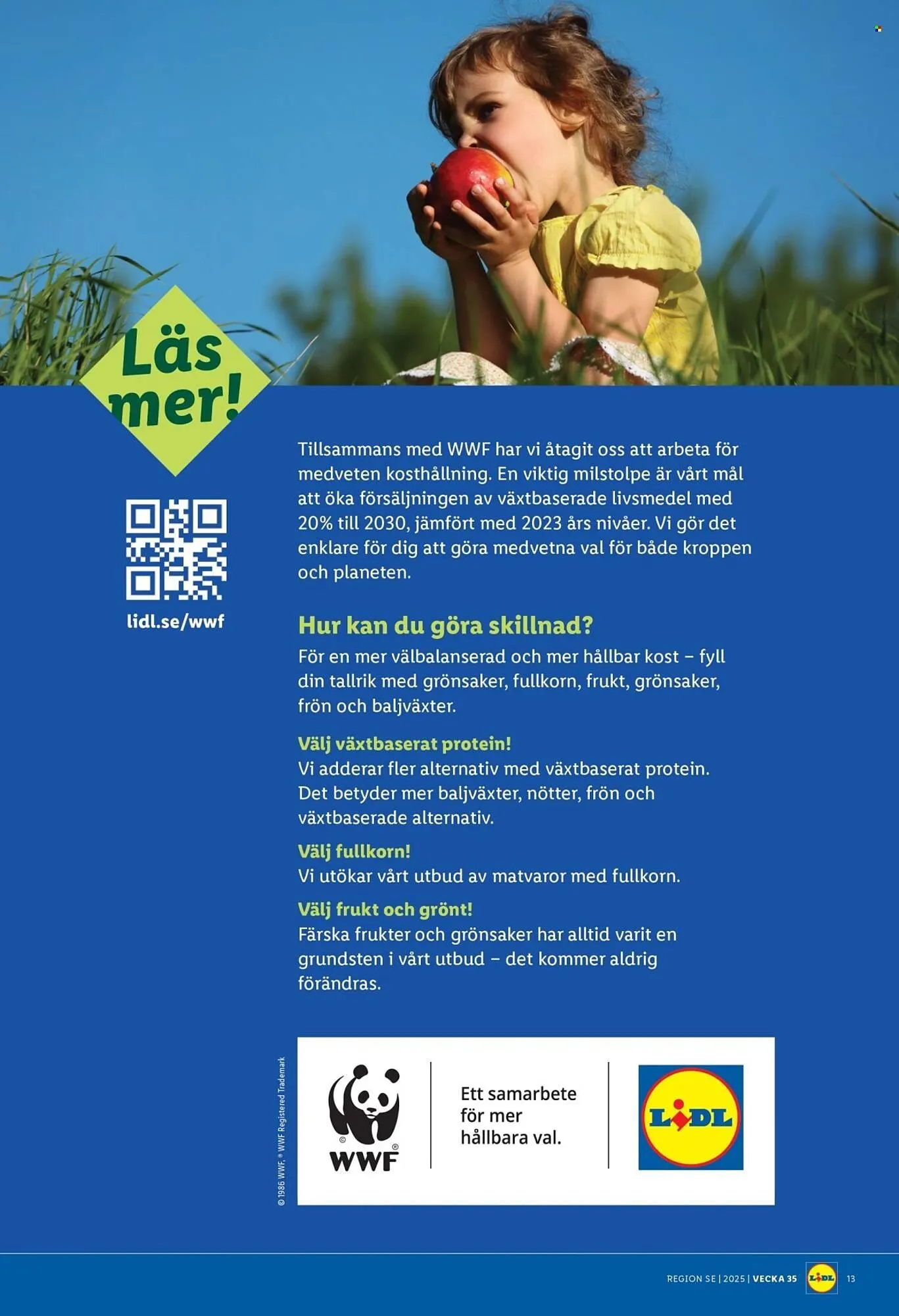 Lidl reklamblad från 25 augusti till 31 augusti 2025 - Reklamblad sidor 15