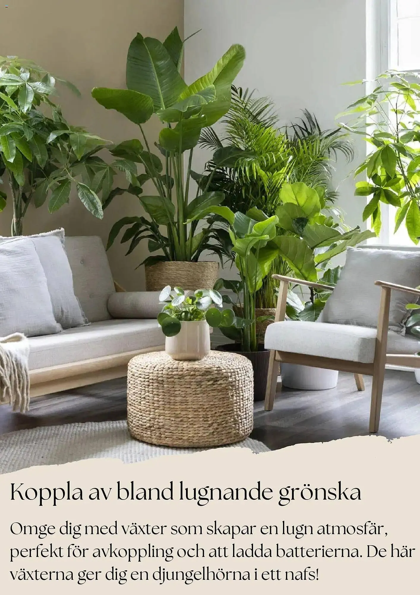 Plantagen annonsblad från 27 oktober till 26 november 2025 - Reklamblad sidor 9