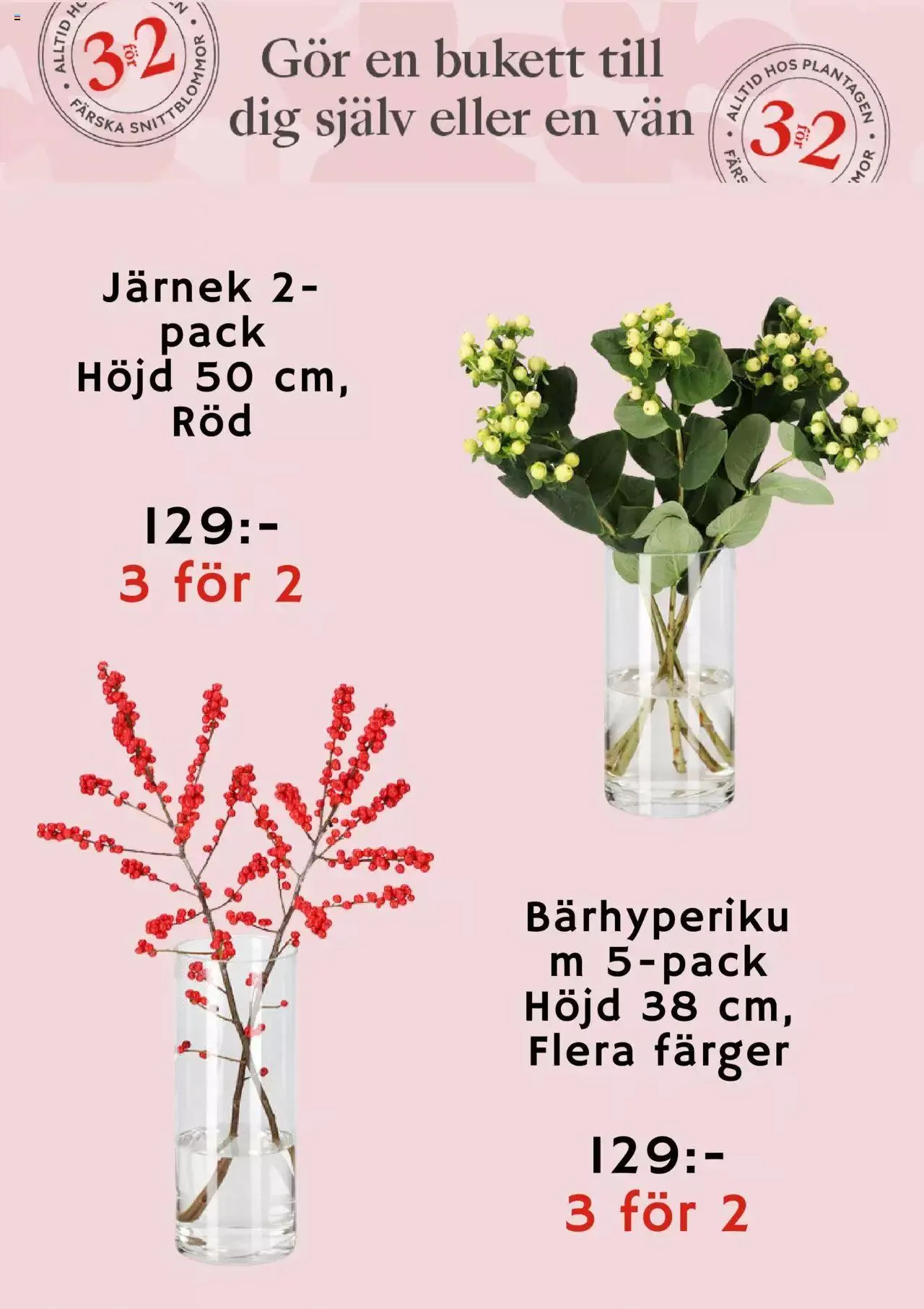 Plantagen - erbjudanden från 27 december till 4 januari 2024 - Reklamblad sidor 4