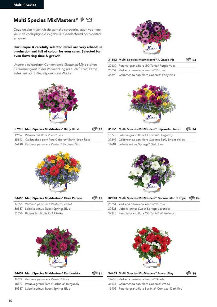 Annuals 2024 . från 15 februari till 31 december 2024 - Reklamblad sidor 14