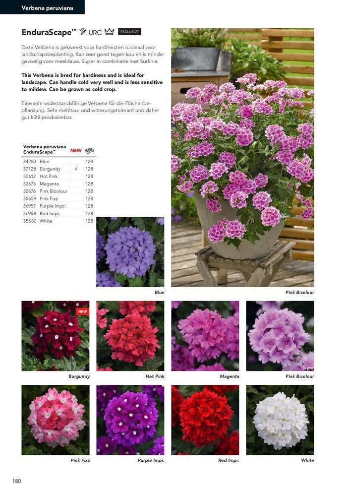 Annuals 2024 . från 15 februari till 31 december 2024 - Reklamblad sidor 184