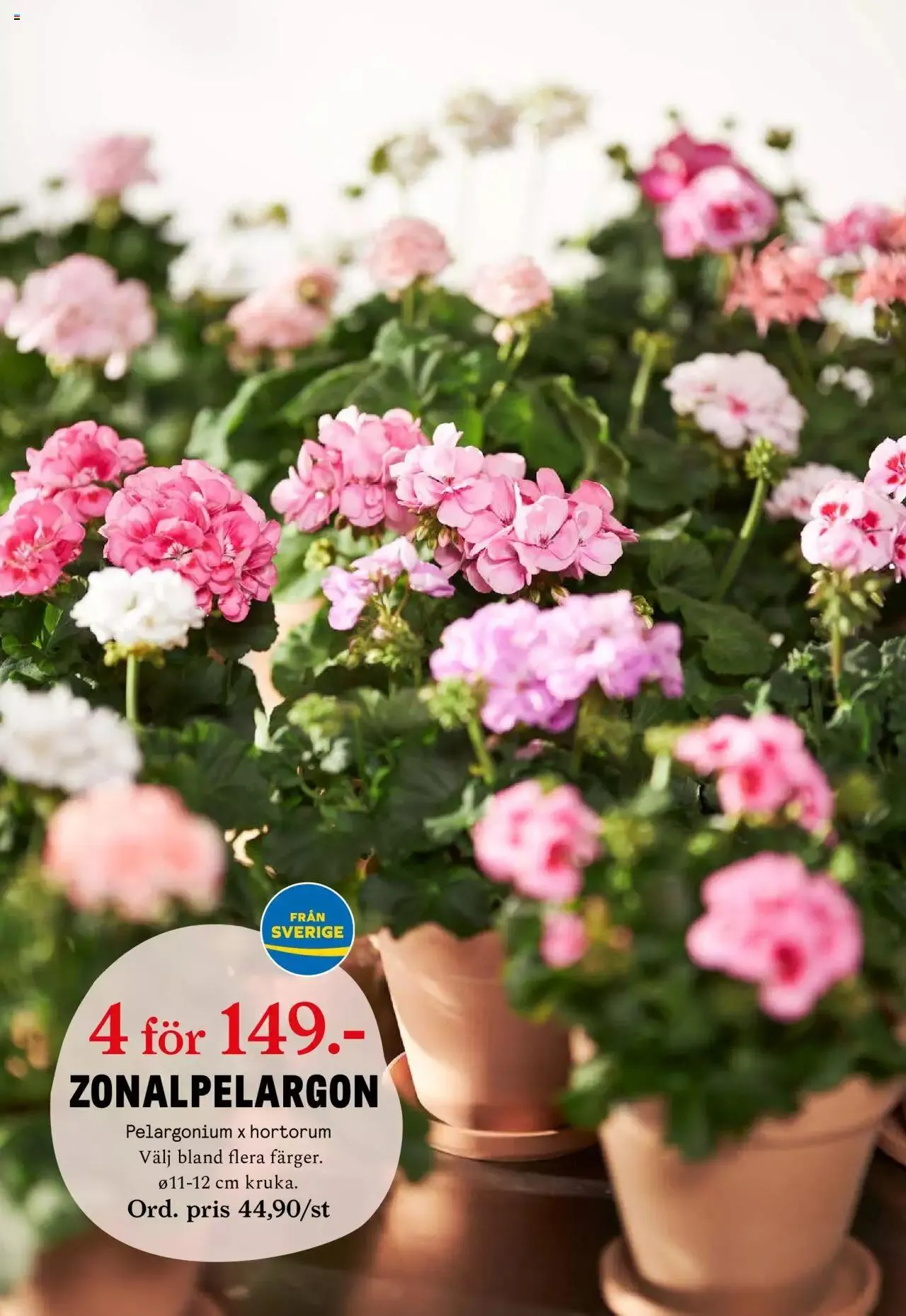 Blomsterlandet - erbjudanden från 27 maj till 2 juni 2024 - Reklamblad sidor 2