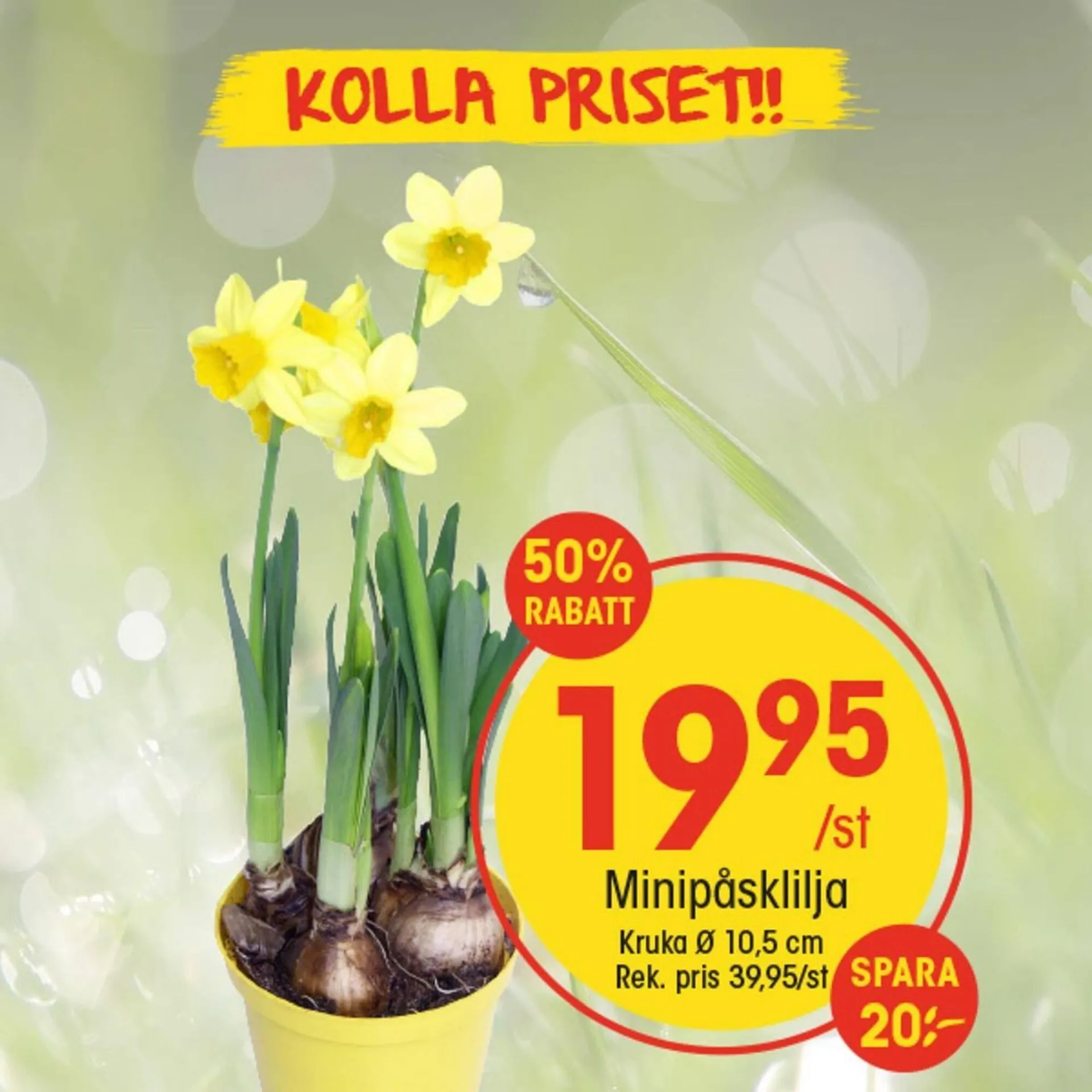 EKO reklamblad från 7 april till 13 april 2025 - Reklamblad sidor 5