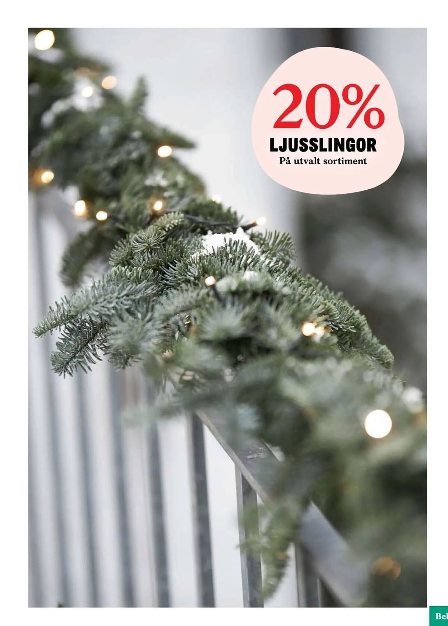 Blomsterlandet reklamblad från 20 november till 26 november 2023 - Reklamblad sidor 7