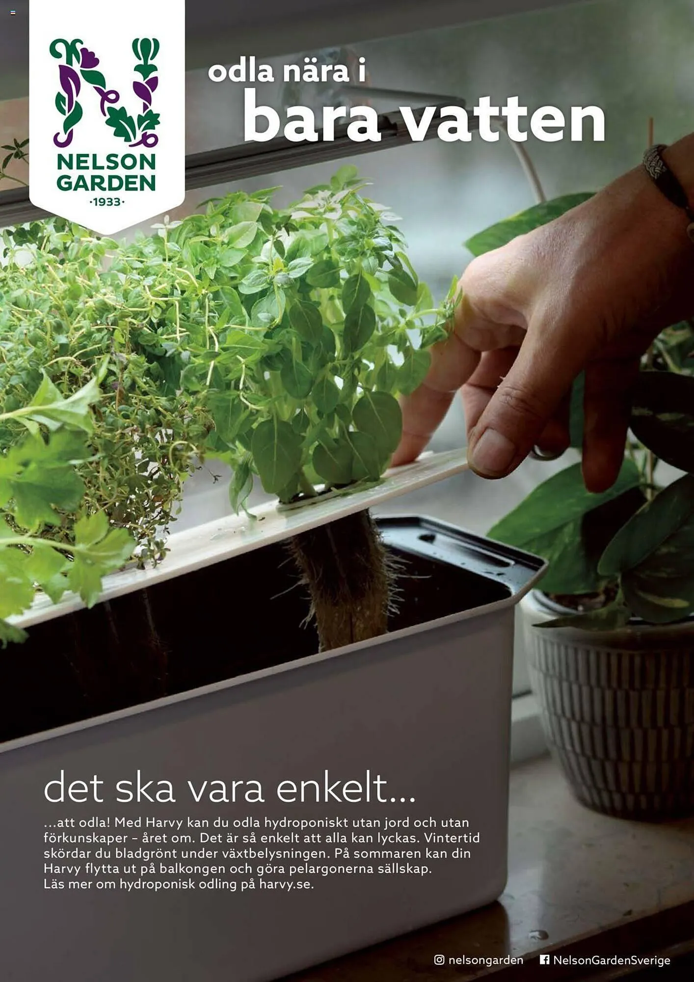 Blomsterlandet reklamblad från 13 maj till 26 maj 2024 - Reklamblad sidor 17