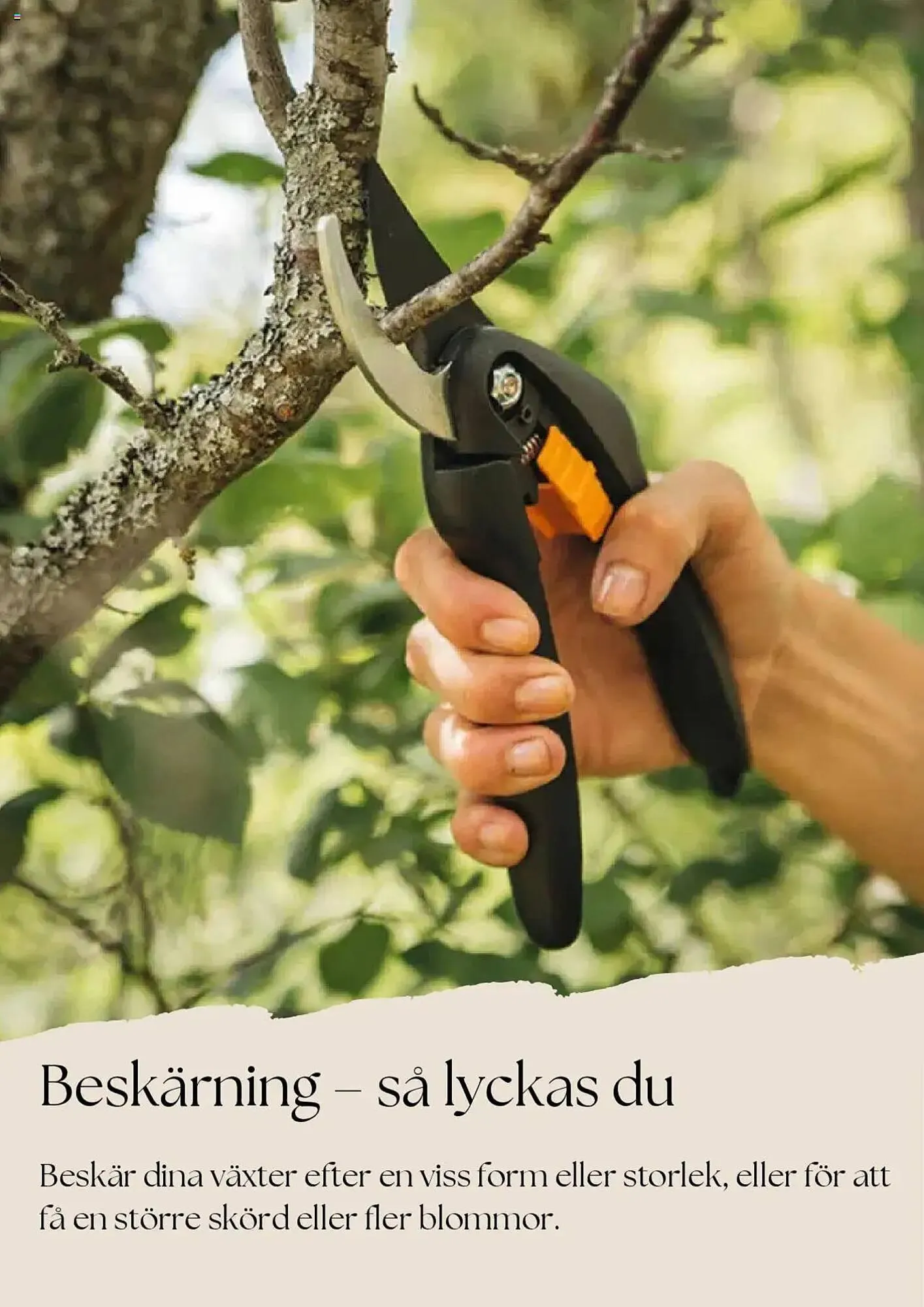 Plantagen reklamblad från 1 april till 30 april 2025 - Reklamblad sidor 8