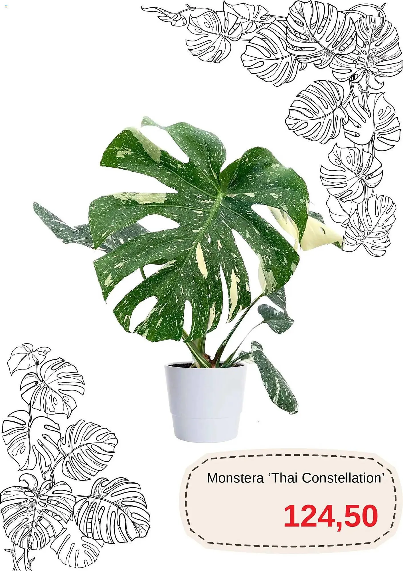 Blomsterlandet reklamblad från 1 november till 16 november 2025 - Reklamblad sidor 2
