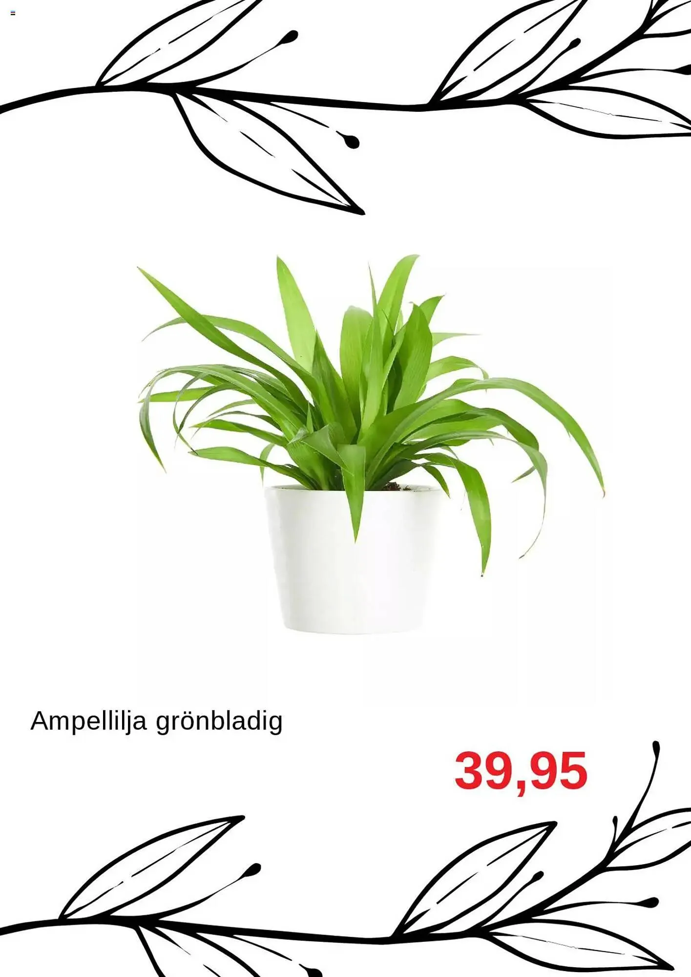 Blomsterlandet reklamblad från 11 augusti till 31 augusti 2025 - Reklamblad sidor 5