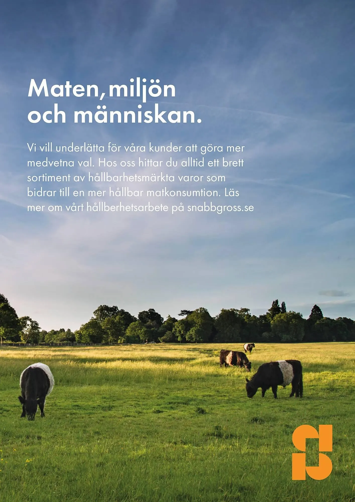 Snabbgross reklamblad från 1 december till 14 december 2025 - Reklamblad sidor 11