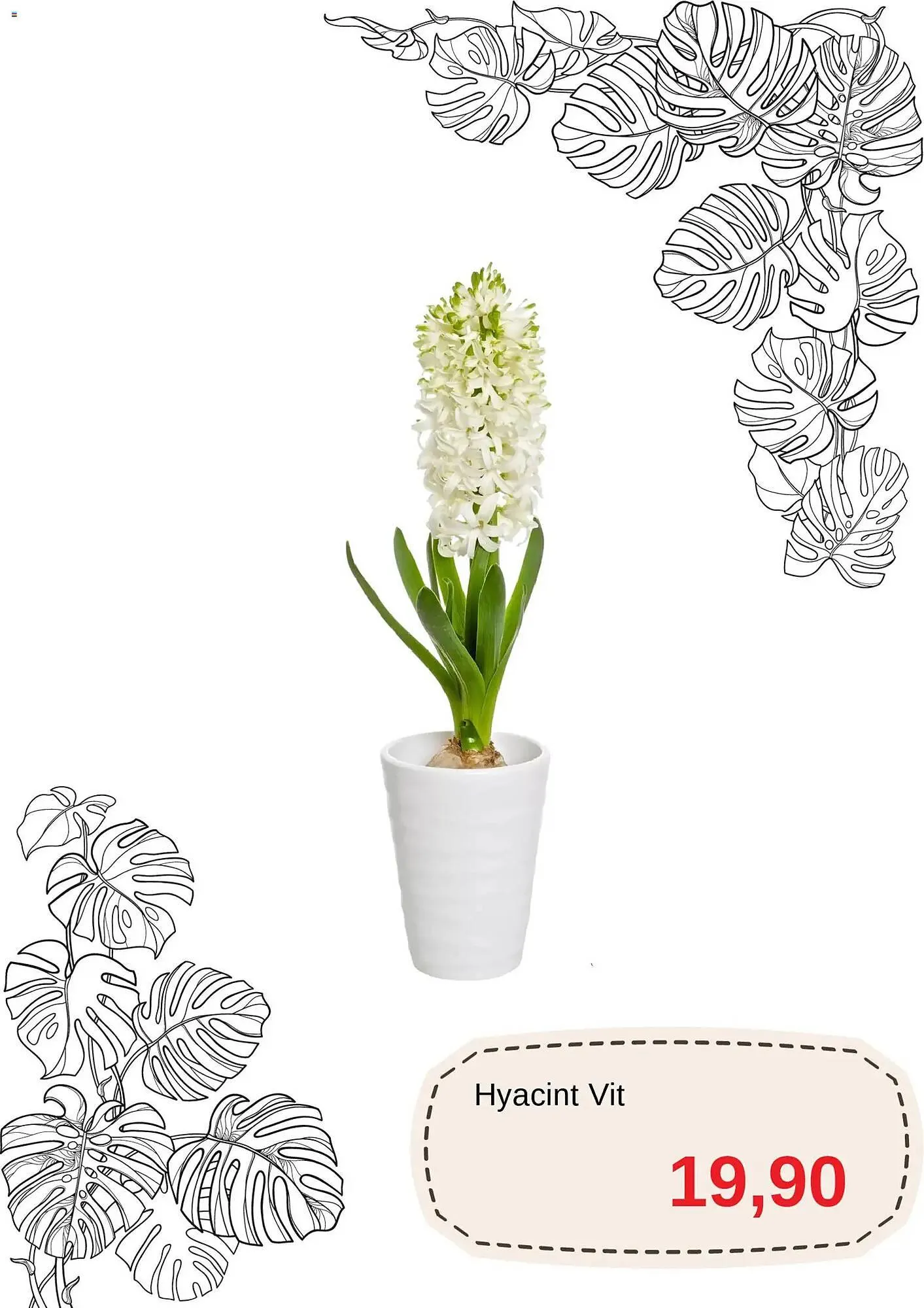 Blomsterlandet reklamblad från 1 december till 31 december 2025 - Reklamblad sidor 2