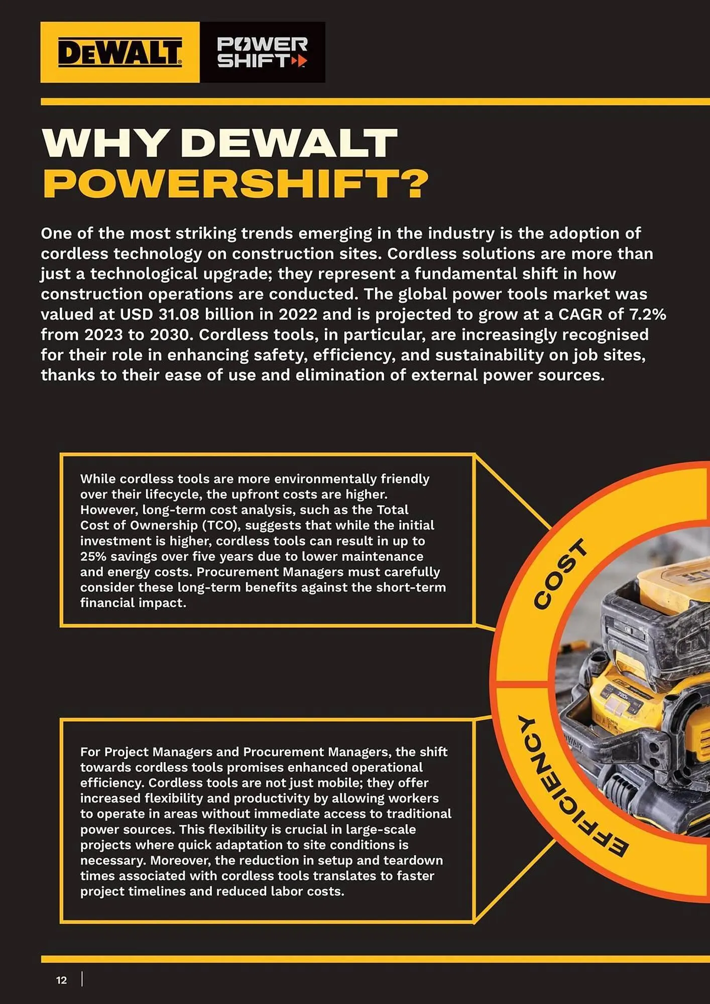 Dewalt reklamblad från 11 januari till 17 januari 2026 - Reklamblad sidor 12
