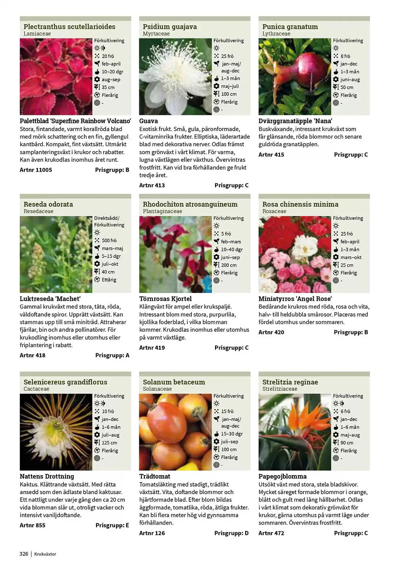 Impecta reklamblad från 23 januari till 31 december 2025 - Reklamblad sidor 326