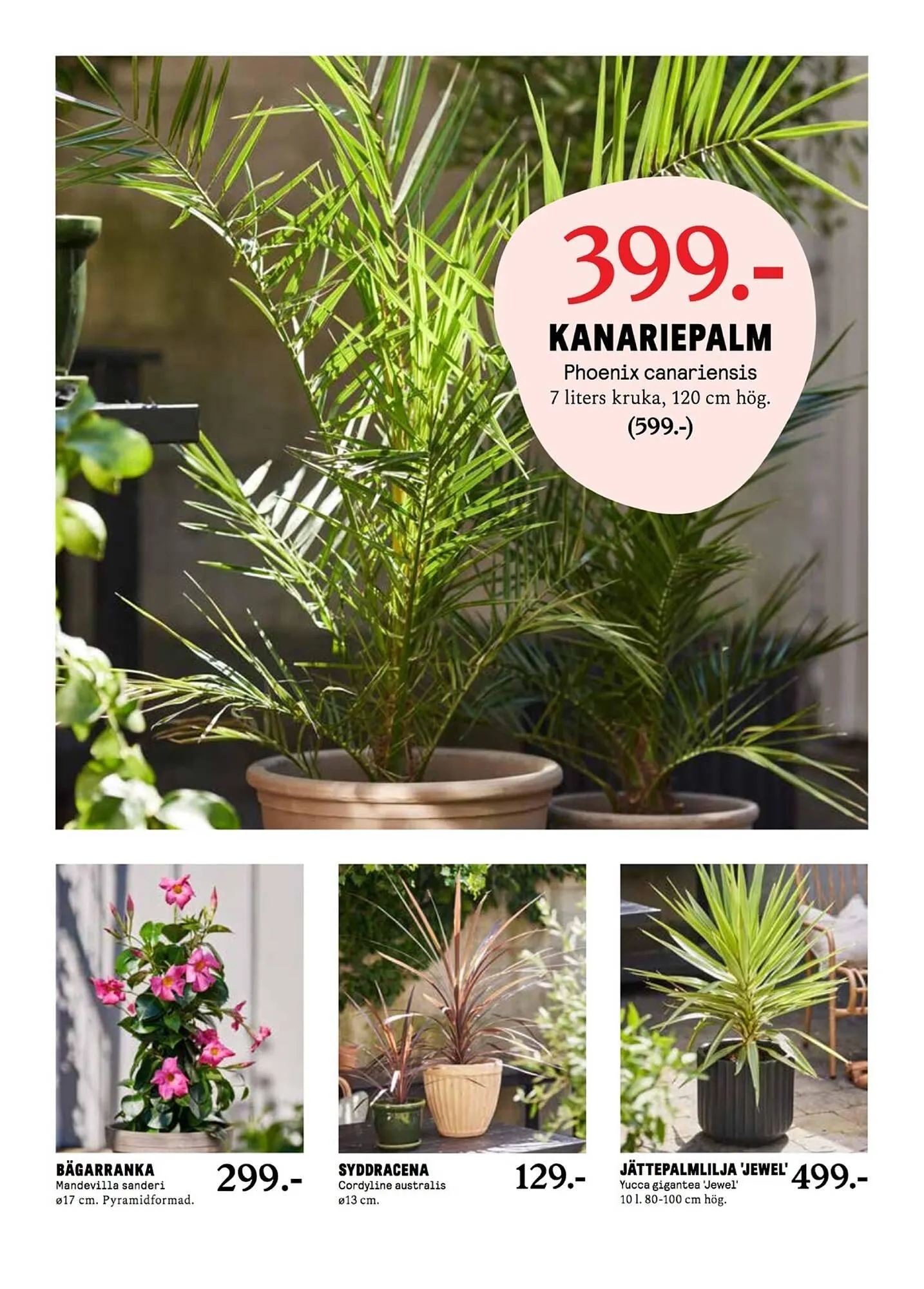 Blomsterlandet reklamblad från 12 maj till 18 maj 2025 - Reklamblad sidor 5