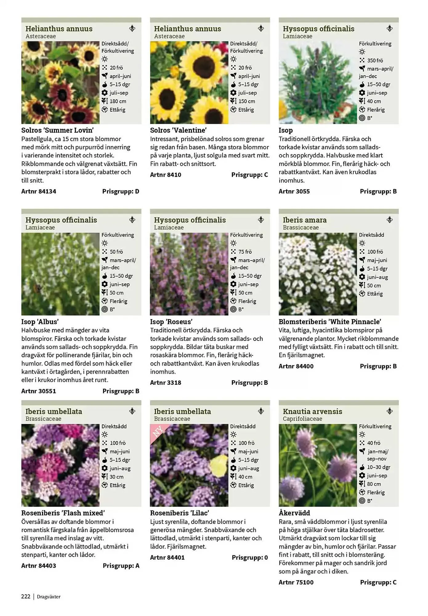 Impecta reklamblad från 23 januari till 31 december 2025 - Reklamblad sidor 222