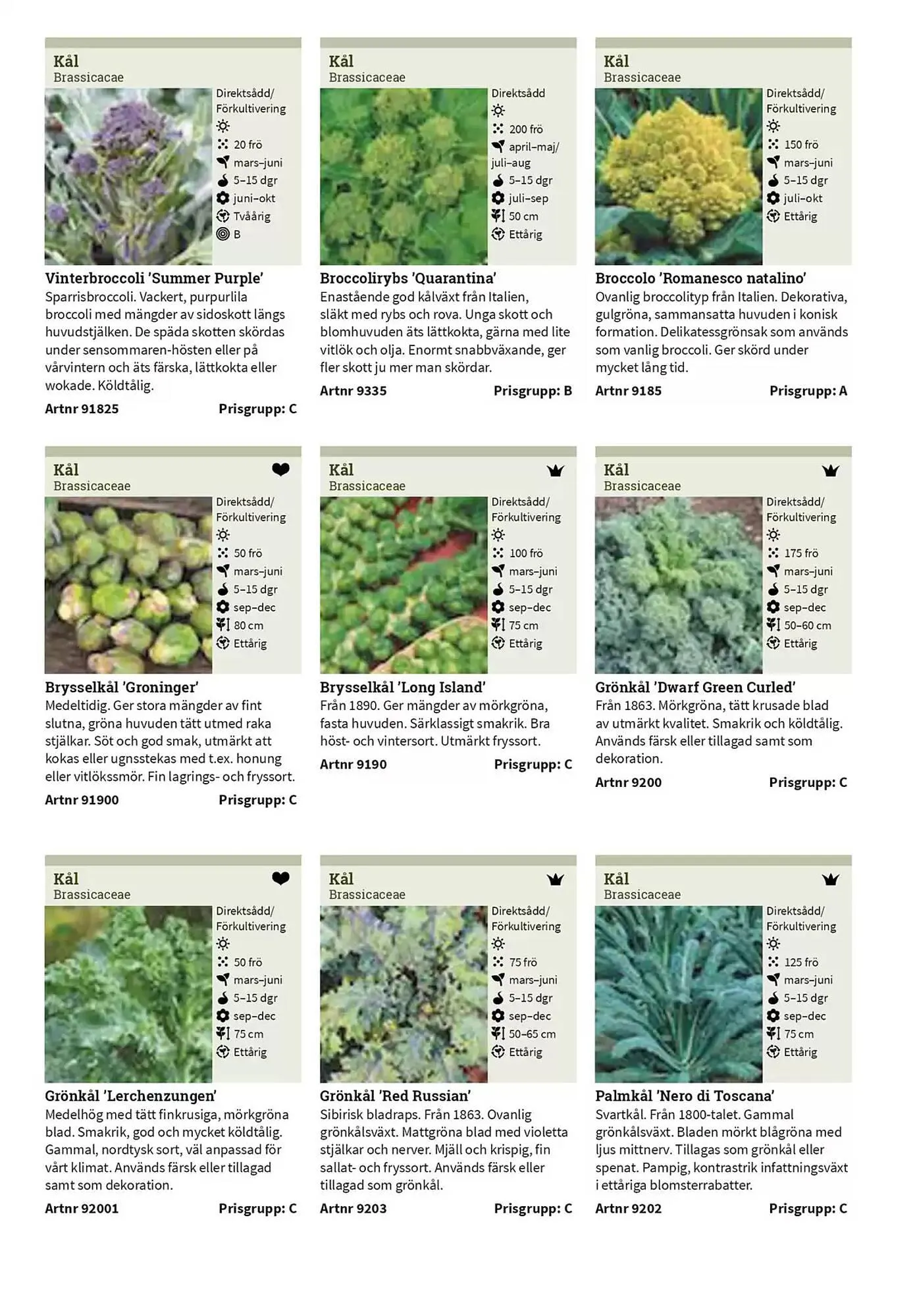 Impecta reklamblad från 23 januari till 31 december 2025 - Reklamblad sidor 28