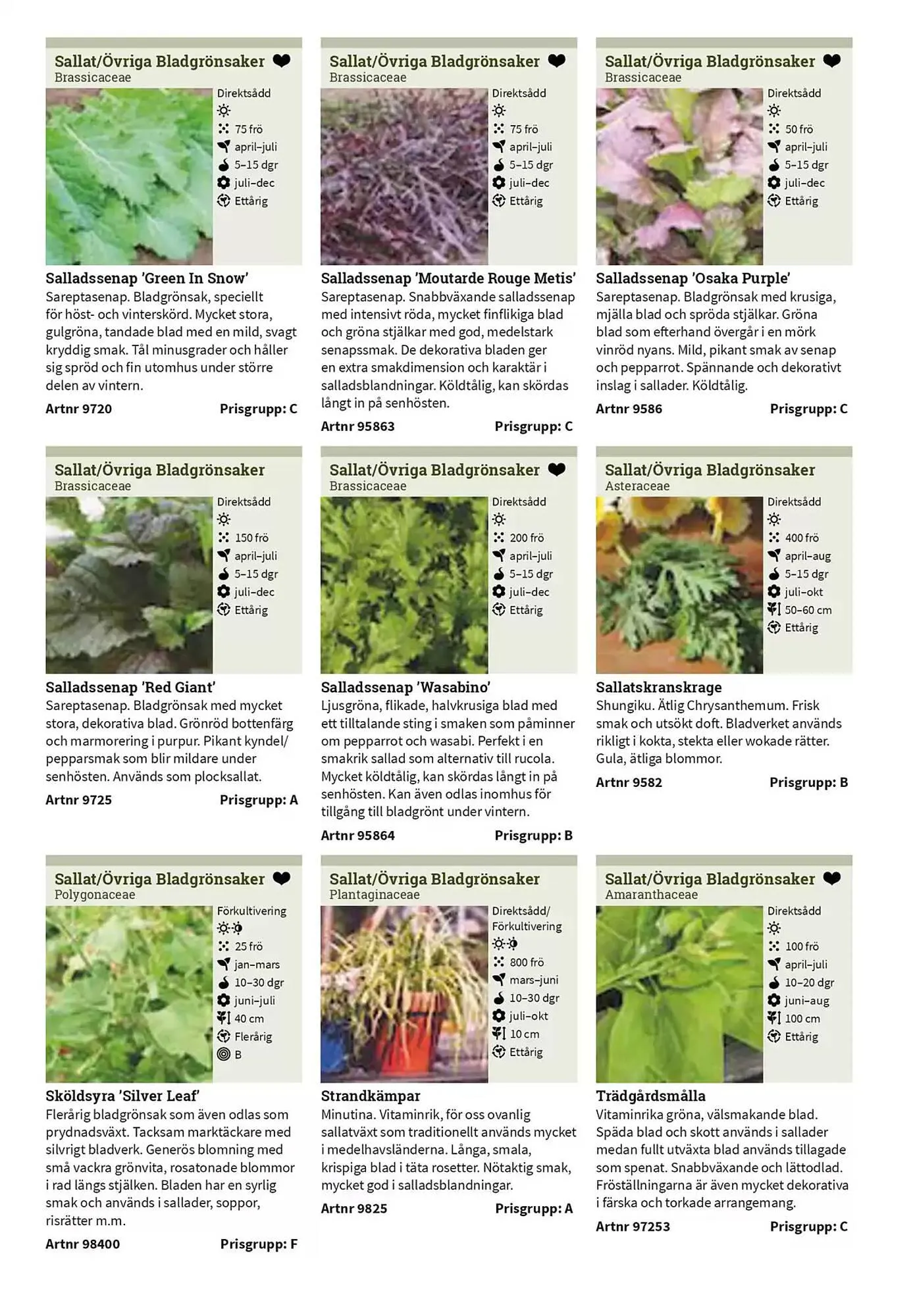 Impecta reklamblad från 23 januari till 31 december 2025 - Reklamblad sidor 56