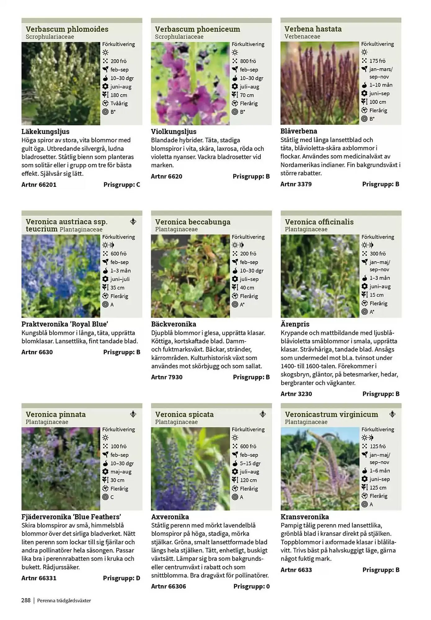 Impecta reklamblad från 23 januari till 31 december 2025 - Reklamblad sidor 288