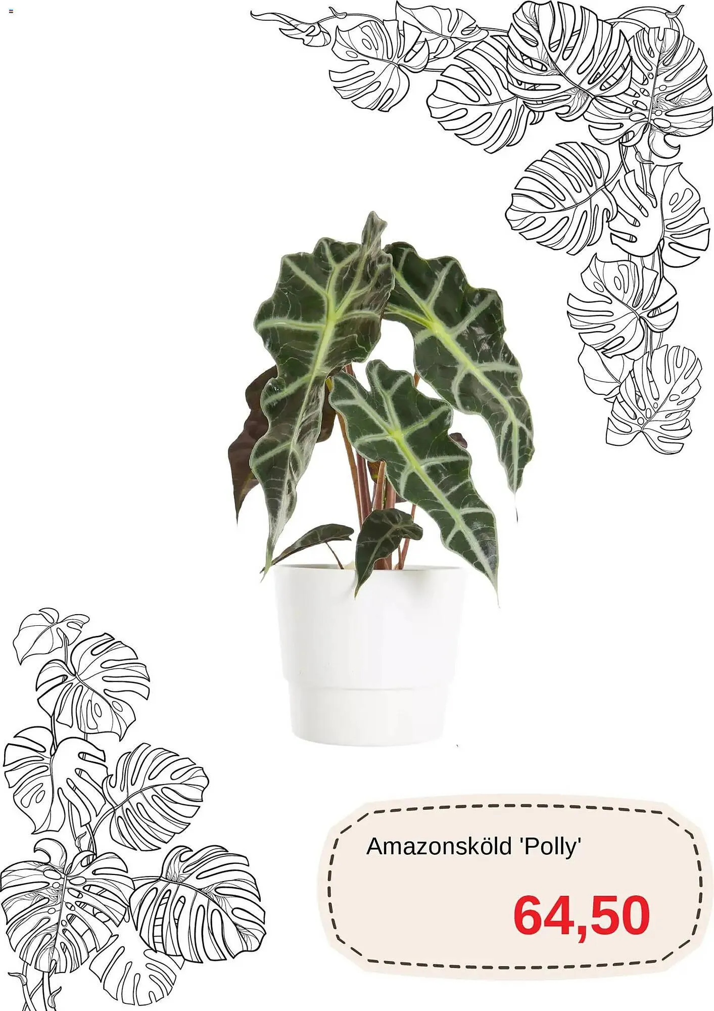 Blomsterlandet reklamblad från 11 mars till 10 april 2026 - Reklamblad sidor 4