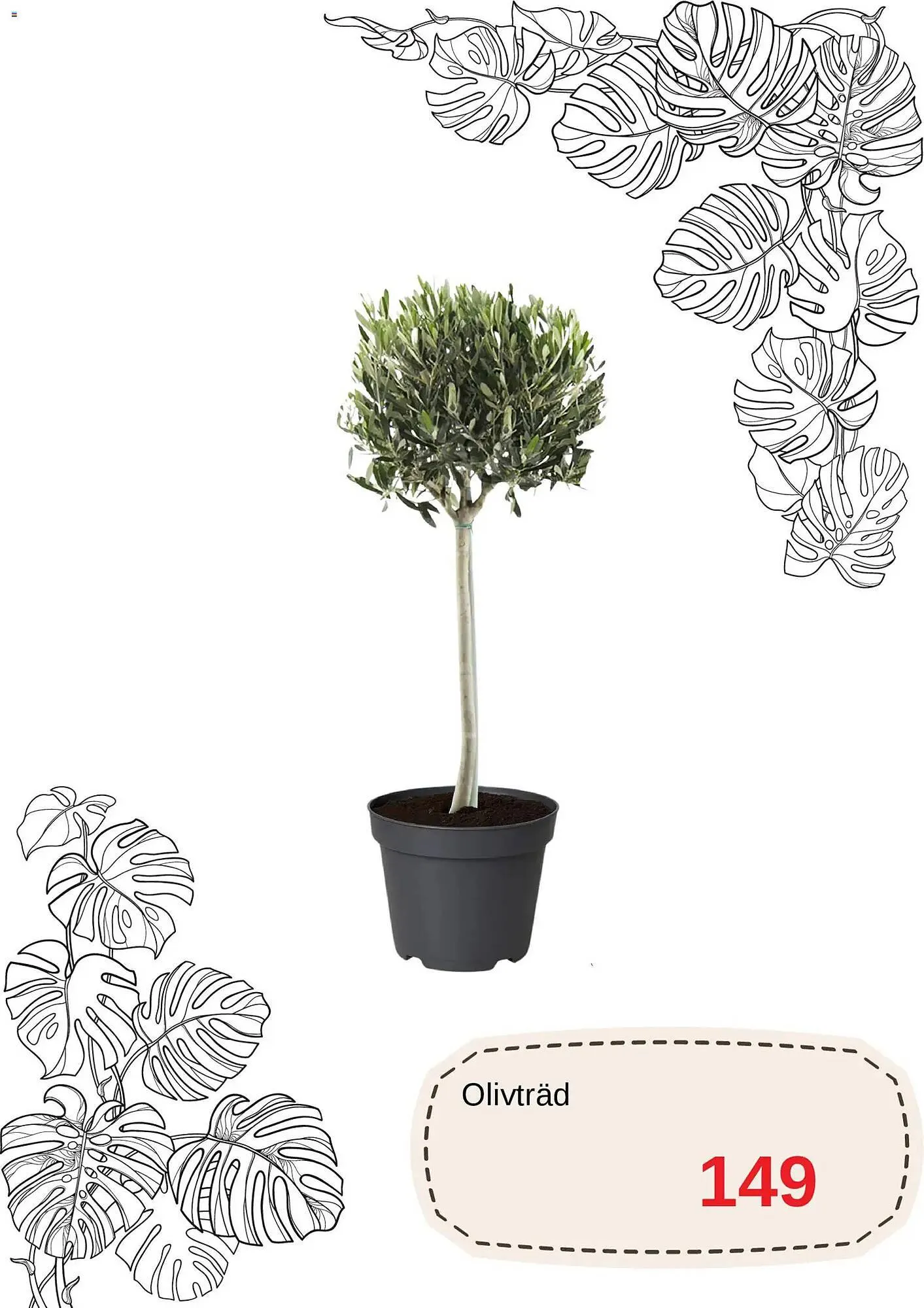 Blomsterlandet reklamblad från 20 april till 31 maj 2026 - Reklamblad sidor 6