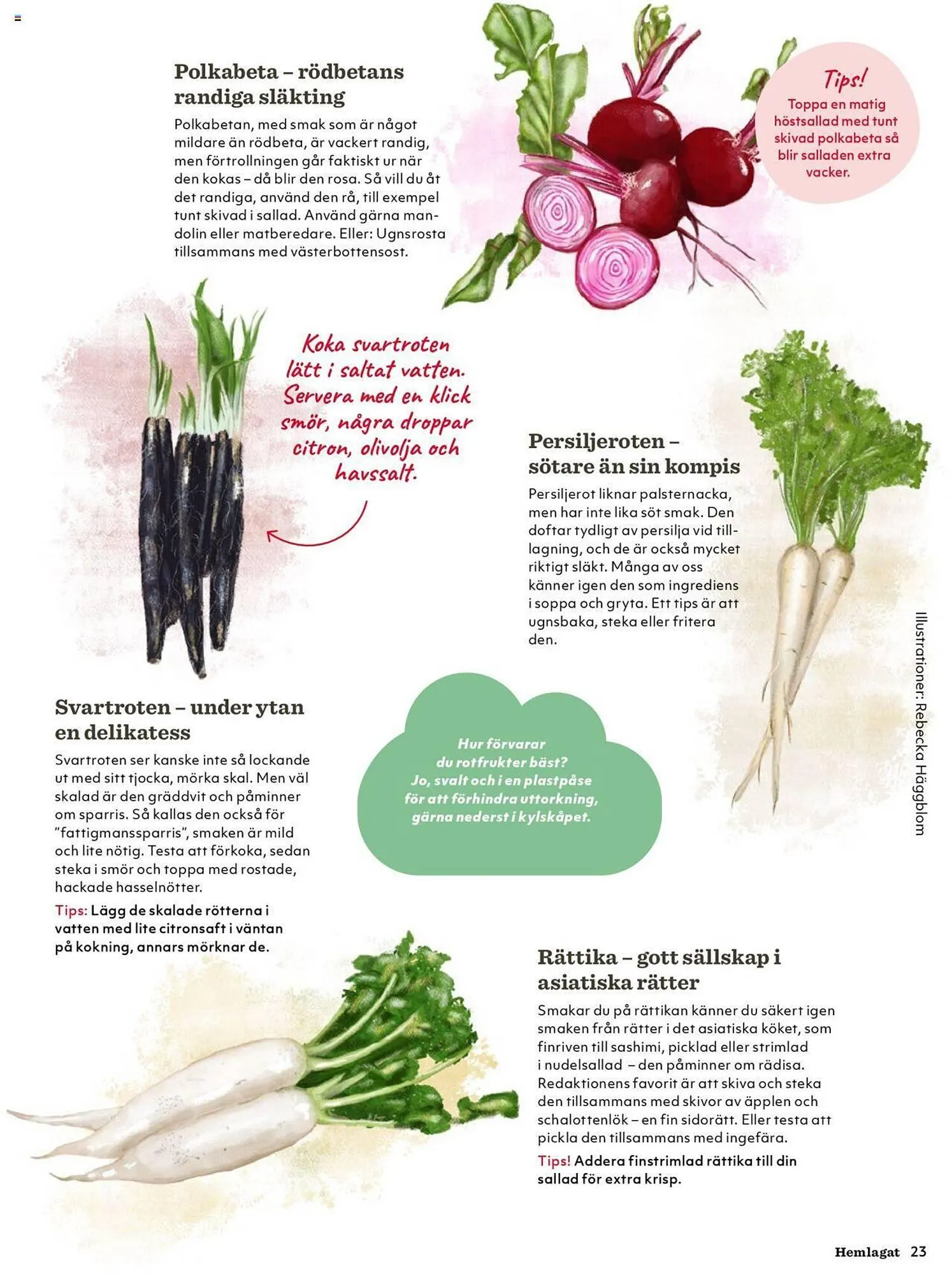 Hemköp reklamblad från 21 oktober till 31 december 2024 - Reklamblad sidor 23
