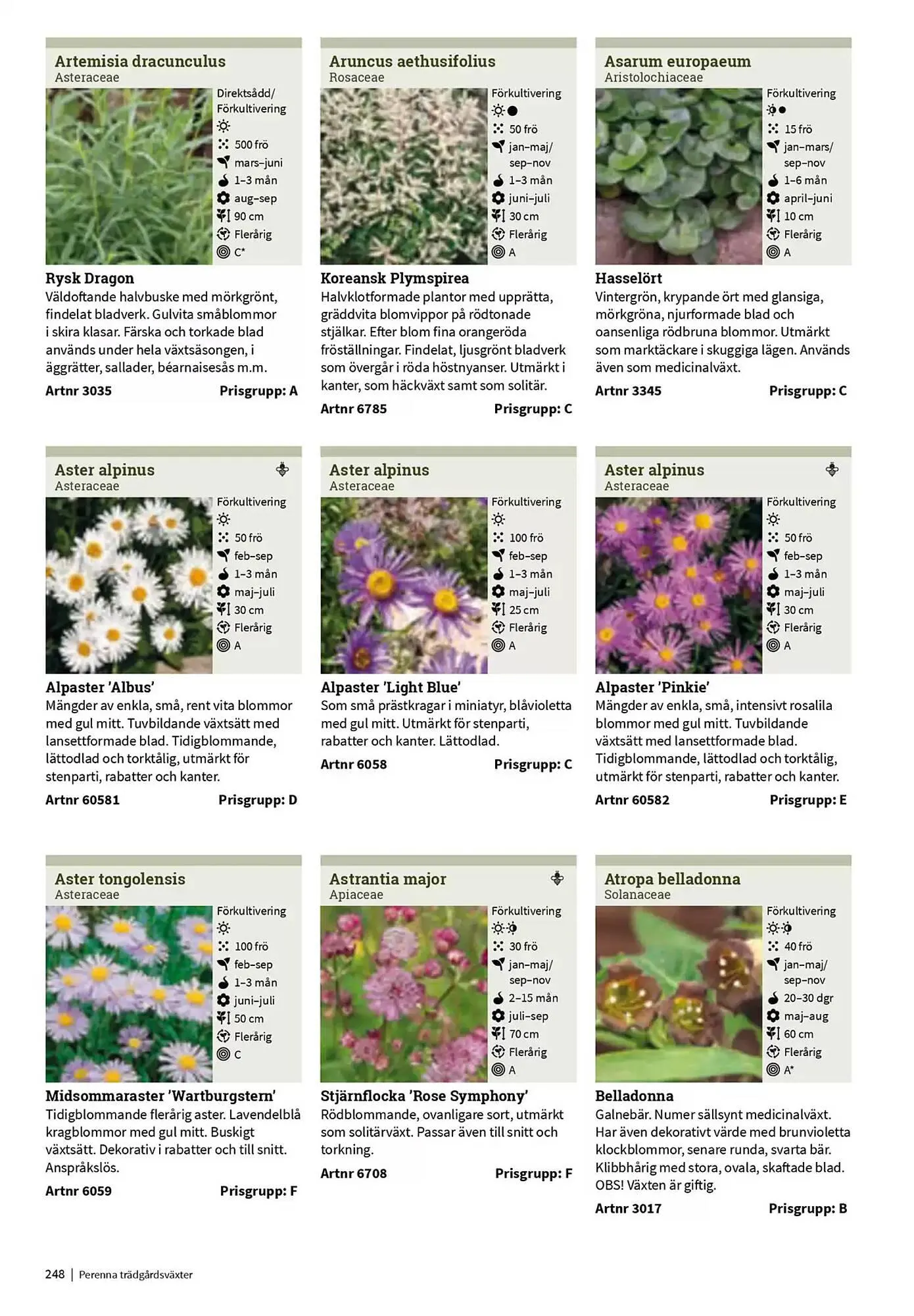 Impecta reklamblad från 23 januari till 31 december 2025 - Reklamblad sidor 248